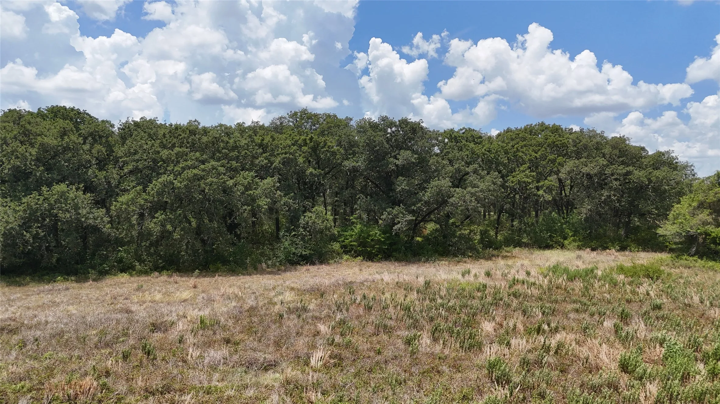 Room to spread out makes this property ideal for buyers wanting privacy and flexible land use.
