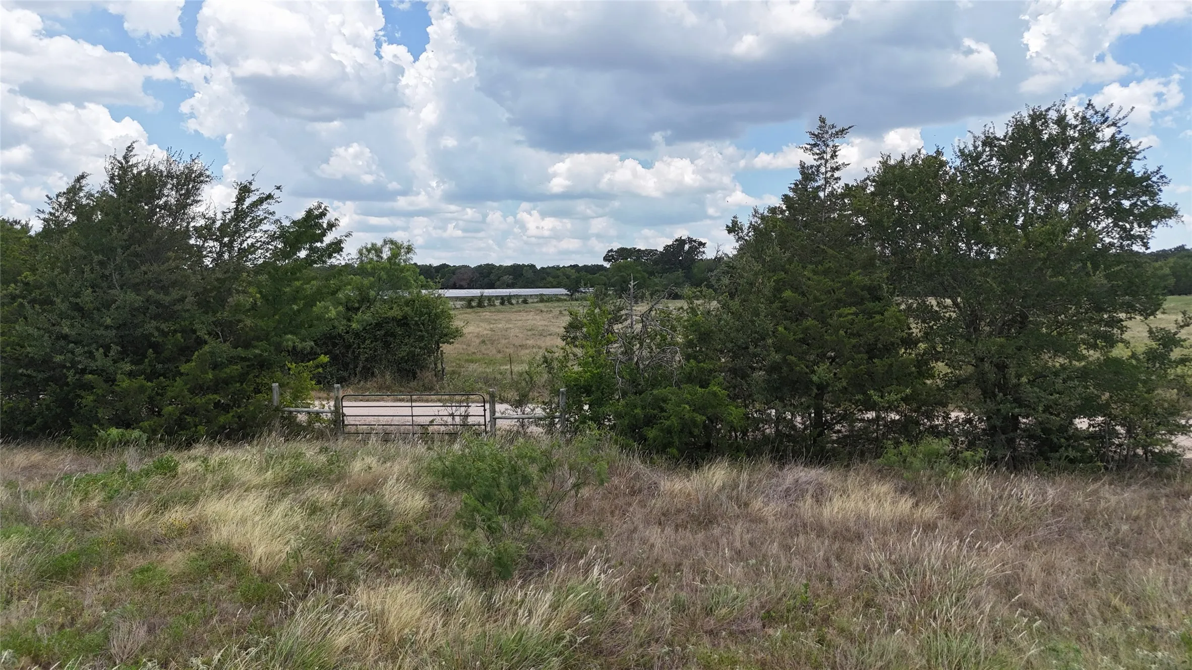 Unimproved Land For Sale in Navarro County , Lot 8 NE County Road 3040, Kerens, Texas 75144, 0, 0, Garage spaces, 0 Sqft, built in 0, mls#21323441, Real Estate Agent in Kerens, Homes For Sale in Navarro county, Homes For Sale in Kerens, Realtor in Kerens Texas, Real Estate Brokerage Independent Realty Texas, Luminita Cordes Realtor