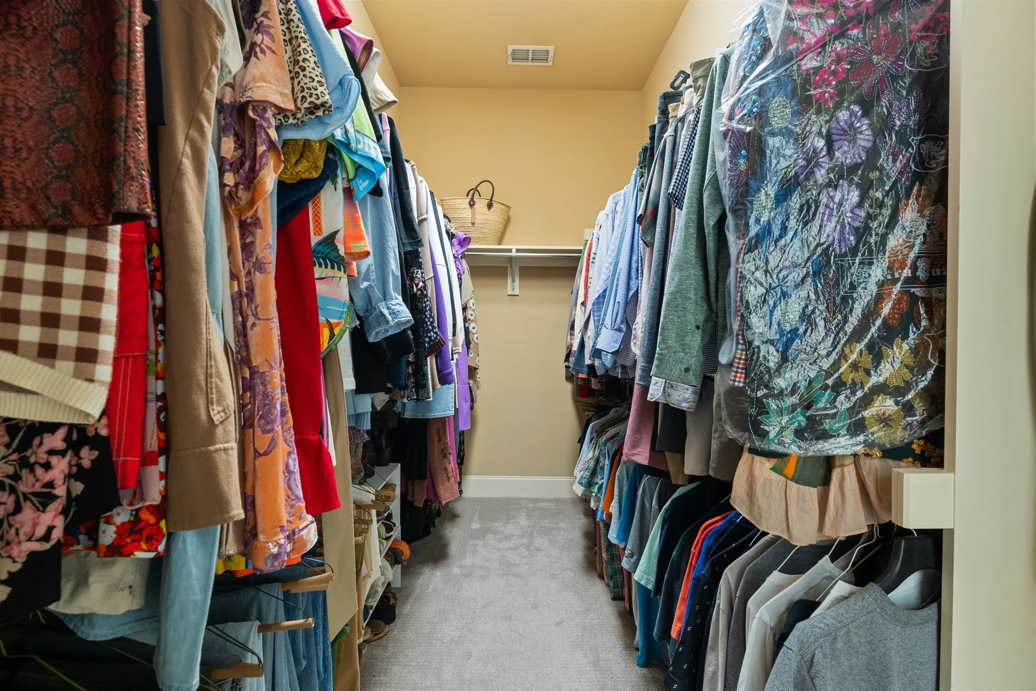 Walk-in closet featuring carpeted flooring and built-in shelving