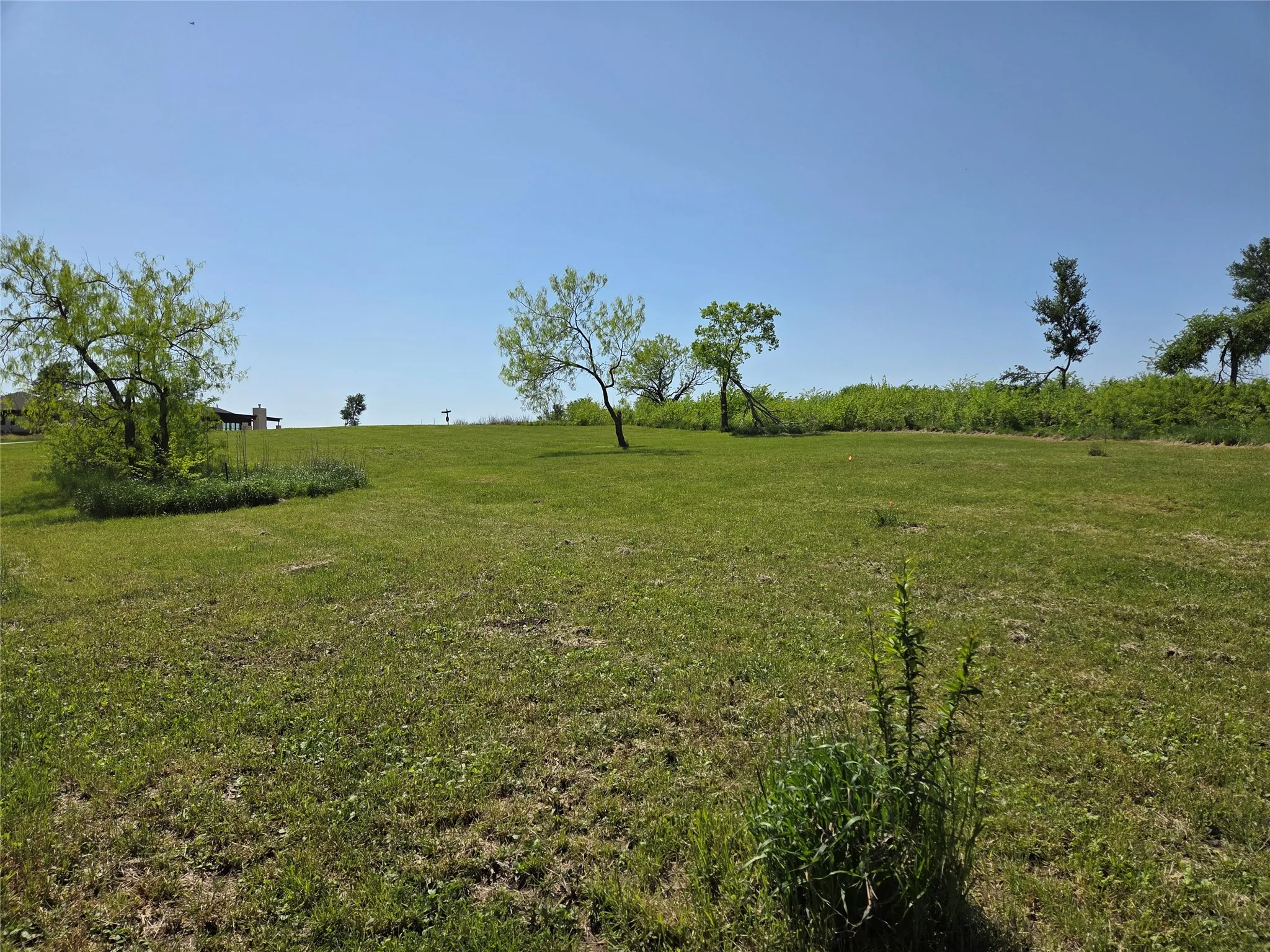 Plenty of room to create your ideal outdoor living space with gentle terrain and scattered mature trees throughout the homesite.