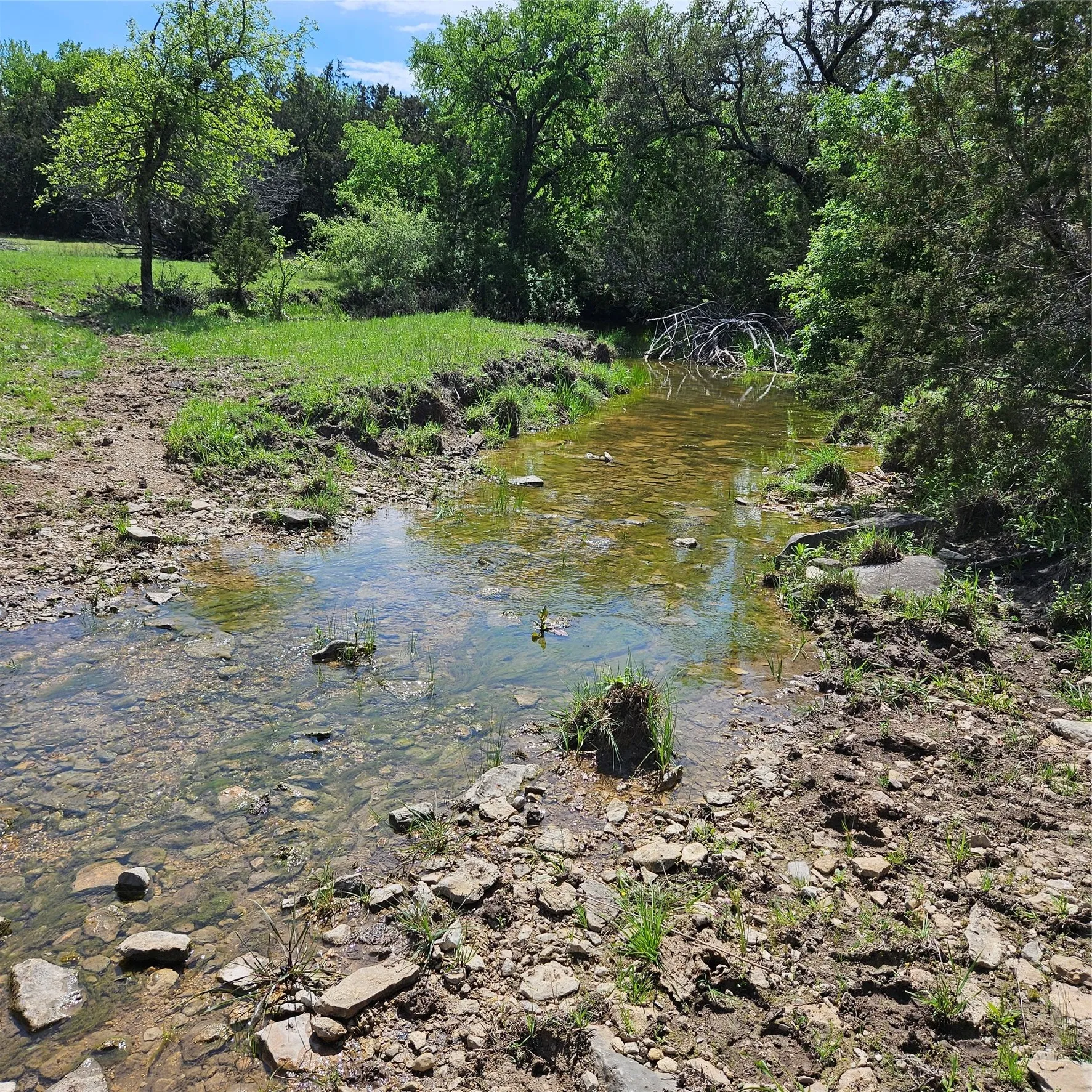 Ranch For Sale in Hamilton County , 10047 E State Highway 36, Jonesboro, Texas 76538, 0, 0, Garage spaces, 0 Sqft, built in 1994, mls#21324801, Real Estate Agent in Jonesboro, Homes For Sale in Hamilton county, Homes For Sale in Jonesboro, Realtor in Jonesboro Texas, Real Estate Brokerage Independent Realty Texas, Luminita Cordes Realtor