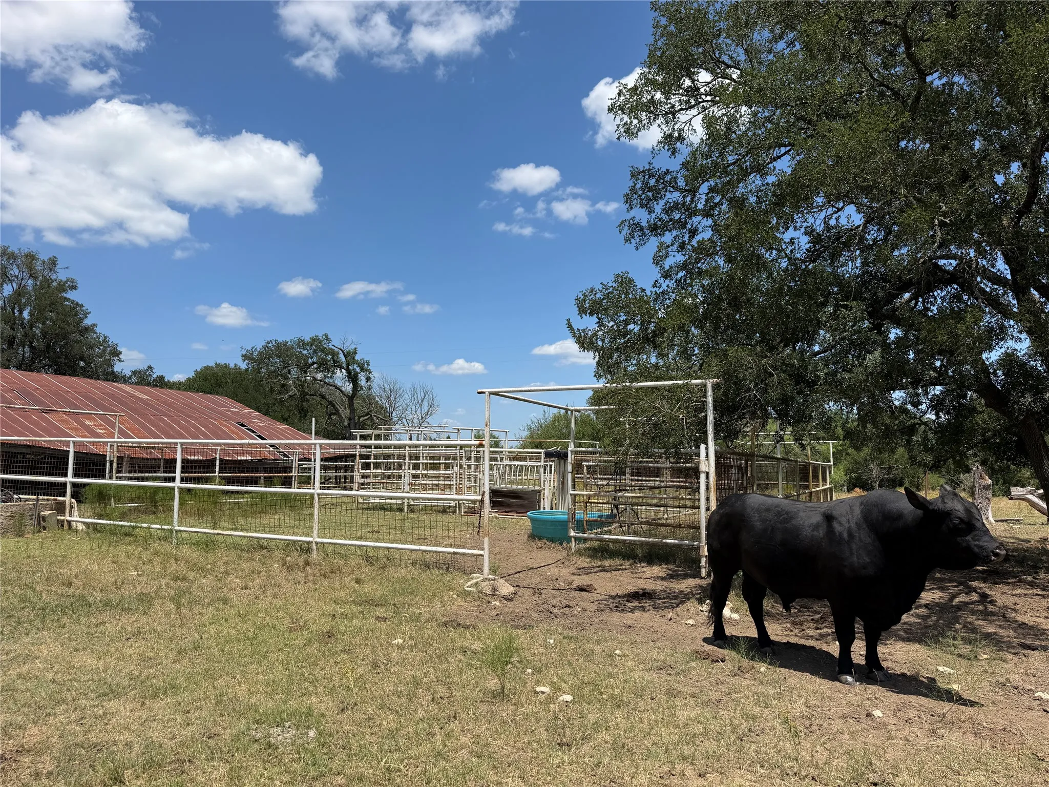 Ranch For Sale in Hamilton County , 10047 E State Highway 36, Jonesboro, Texas 76538, 0, 0, Garage spaces, 0 Sqft, built in 1994, mls#21324801, Real Estate Agent in Jonesboro, Homes For Sale in Hamilton county, Homes For Sale in Jonesboro, Realtor in Jonesboro Texas, Real Estate Brokerage Independent Realty Texas, Luminita Cordes Realtor
