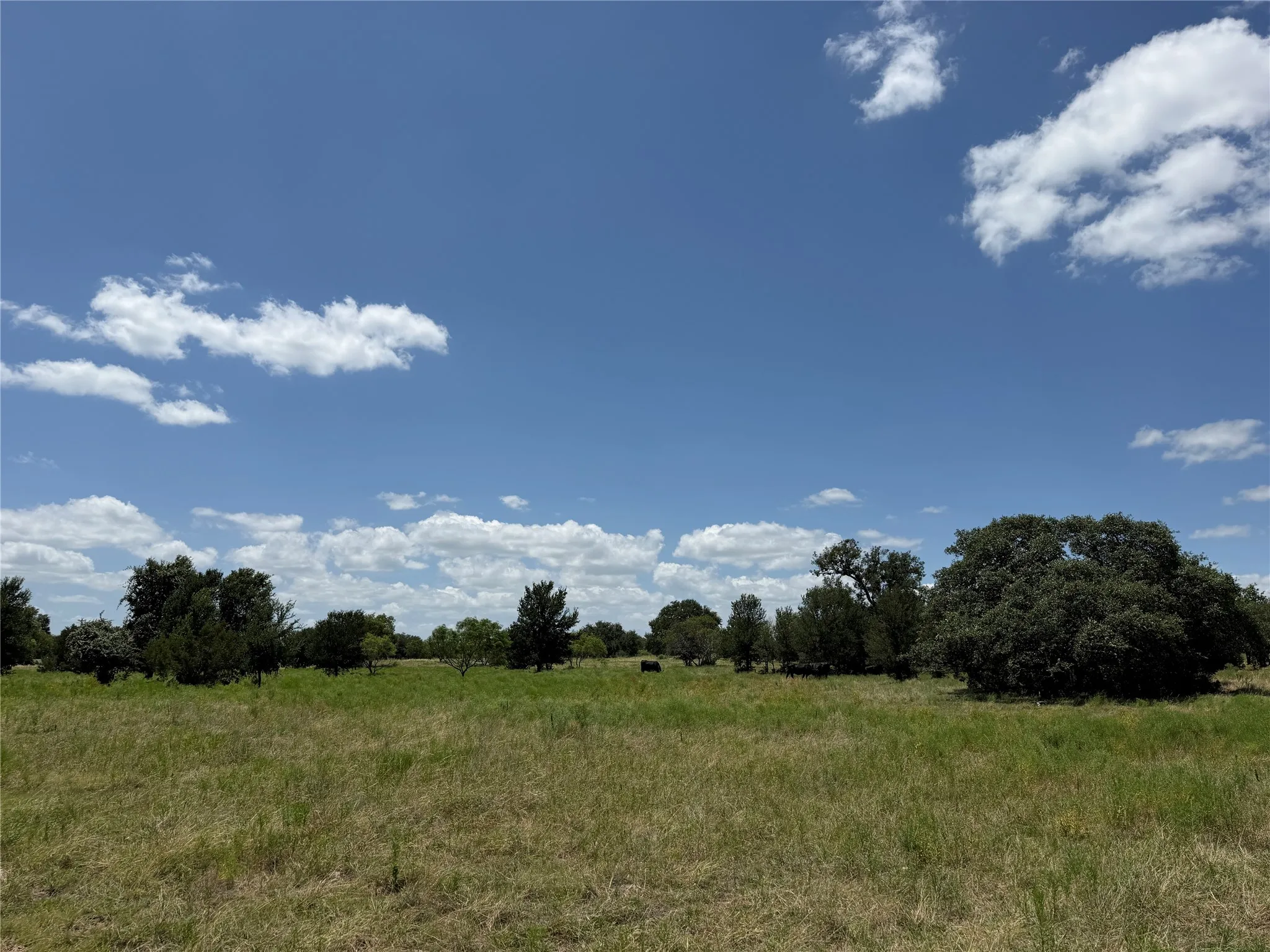 Ranch For Sale in Hamilton County , 10047 E State Highway 36, Jonesboro, Texas 76538, 0, 0, Garage spaces, 0 Sqft, built in 1994, mls#21324801, Real Estate Agent in Jonesboro, Homes For Sale in Hamilton county, Homes For Sale in Jonesboro, Realtor in Jonesboro Texas, Real Estate Brokerage Independent Realty Texas, Luminita Cordes Realtor