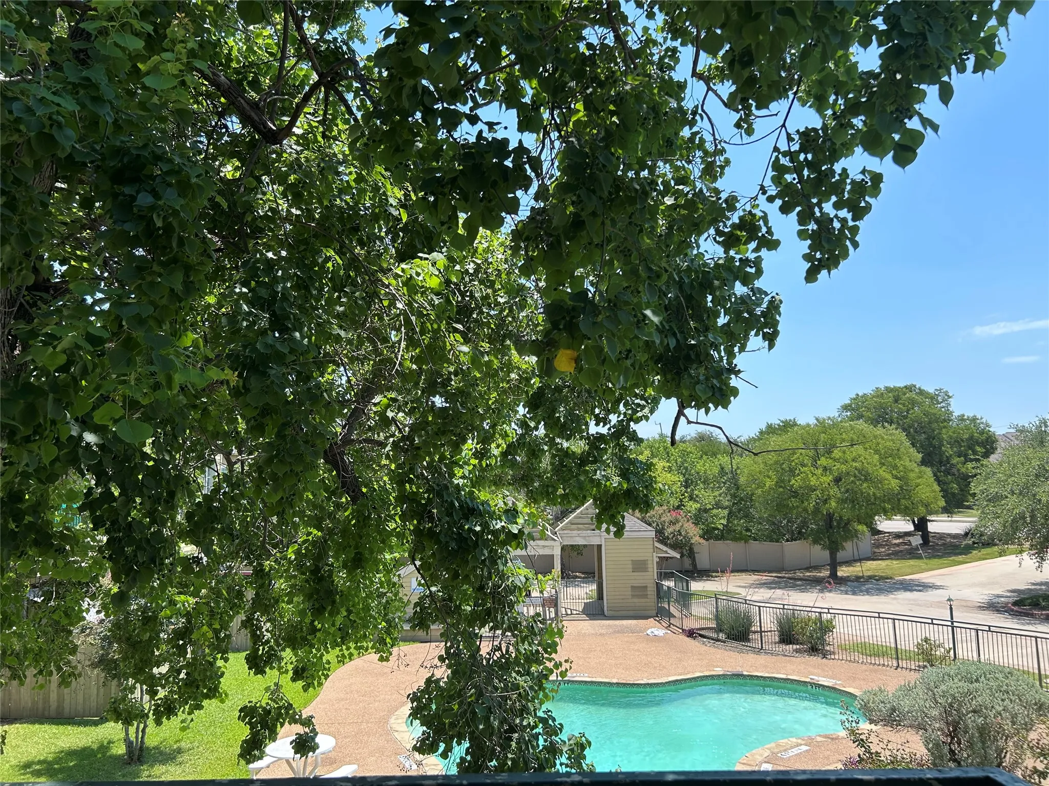 Outdoor swimming pool with pebble-finish decking, surrounded by a metal fence and mature landscaping