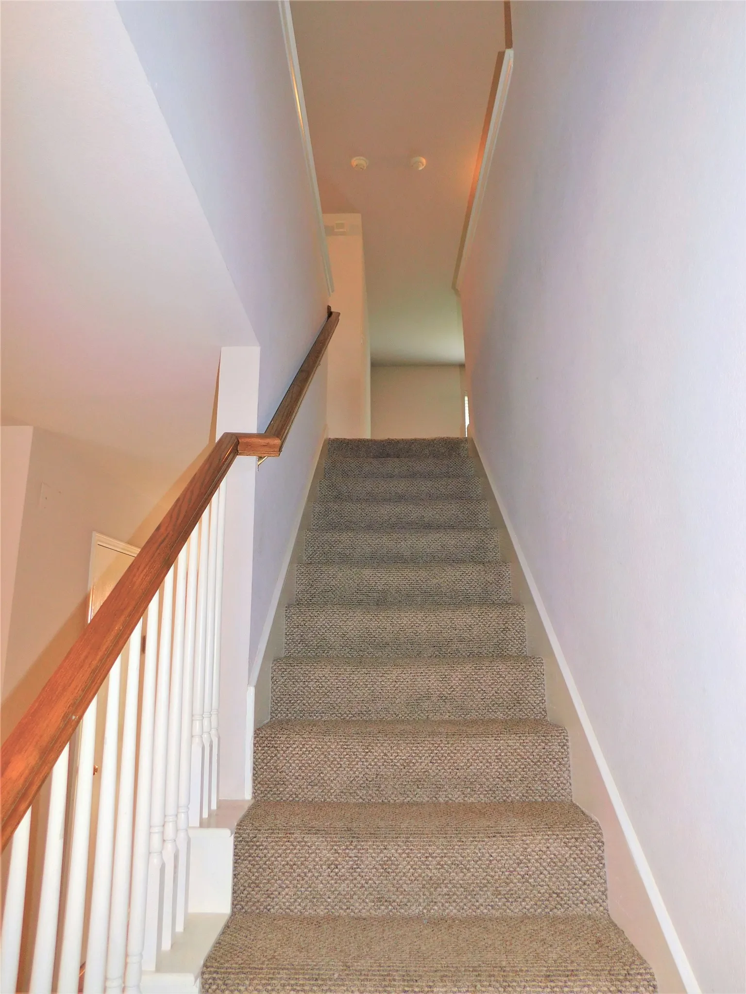 Single Family Residence For Rent in Denton County , 1508 Sequoia Grove Lane, Lewisville, Texas 75067, 3 Bedroom, 3 Bathroom, 2 Garage spaces, 2,255 Sqft, built in 2002, mls#21323474, Real Estate Agent in Lewisville, Homes For Rent in Denton county, Homes For Rent in Lewisville, Realtor in Lewisville Texas, Real Estate Brokerage Independent Realty Texas, Luminita Cordes Realtor