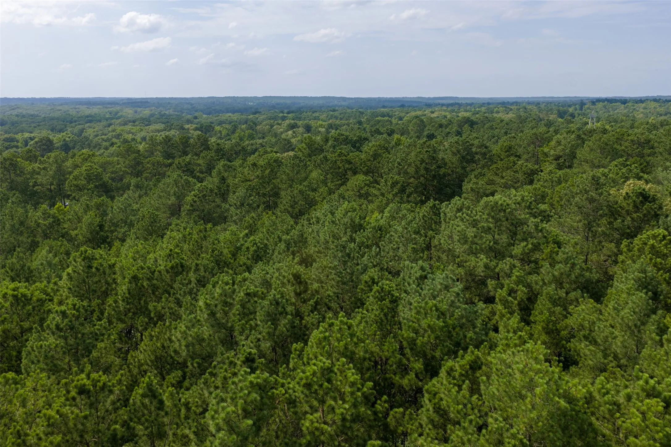 Unimproved Land For Sale in Rusk County , 00 County Road 4117, Overton, Texas 75684, 0, 0, Garage spaces, 0 Sqft, built in 0, mls#21324837, Real Estate Agent in Overton, Homes For Sale in Rusk county, Homes For Sale in Overton, Realtor in Overton Texas, Real Estate Brokerage Independent Realty Texas, Luminita Cordes Realtor
