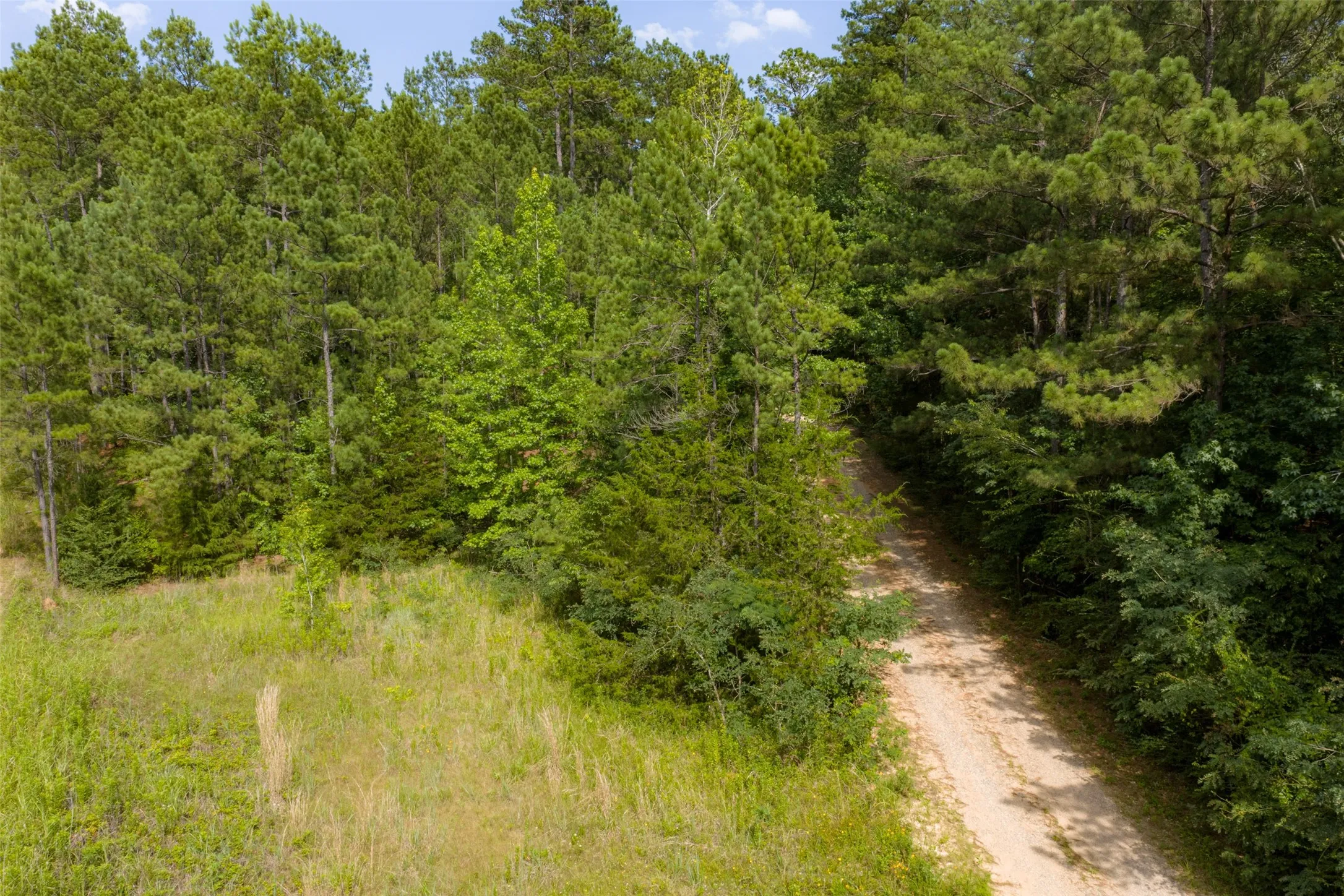 Unimproved Land For Sale in Rusk County , 00 County Road 4117, Overton, Texas 75684, 0, 0, Garage spaces, 0 Sqft, built in 0, mls#21324837, Real Estate Agent in Overton, Homes For Sale in Rusk county, Homes For Sale in Overton, Realtor in Overton Texas, Real Estate Brokerage Independent Realty Texas, Luminita Cordes Realtor