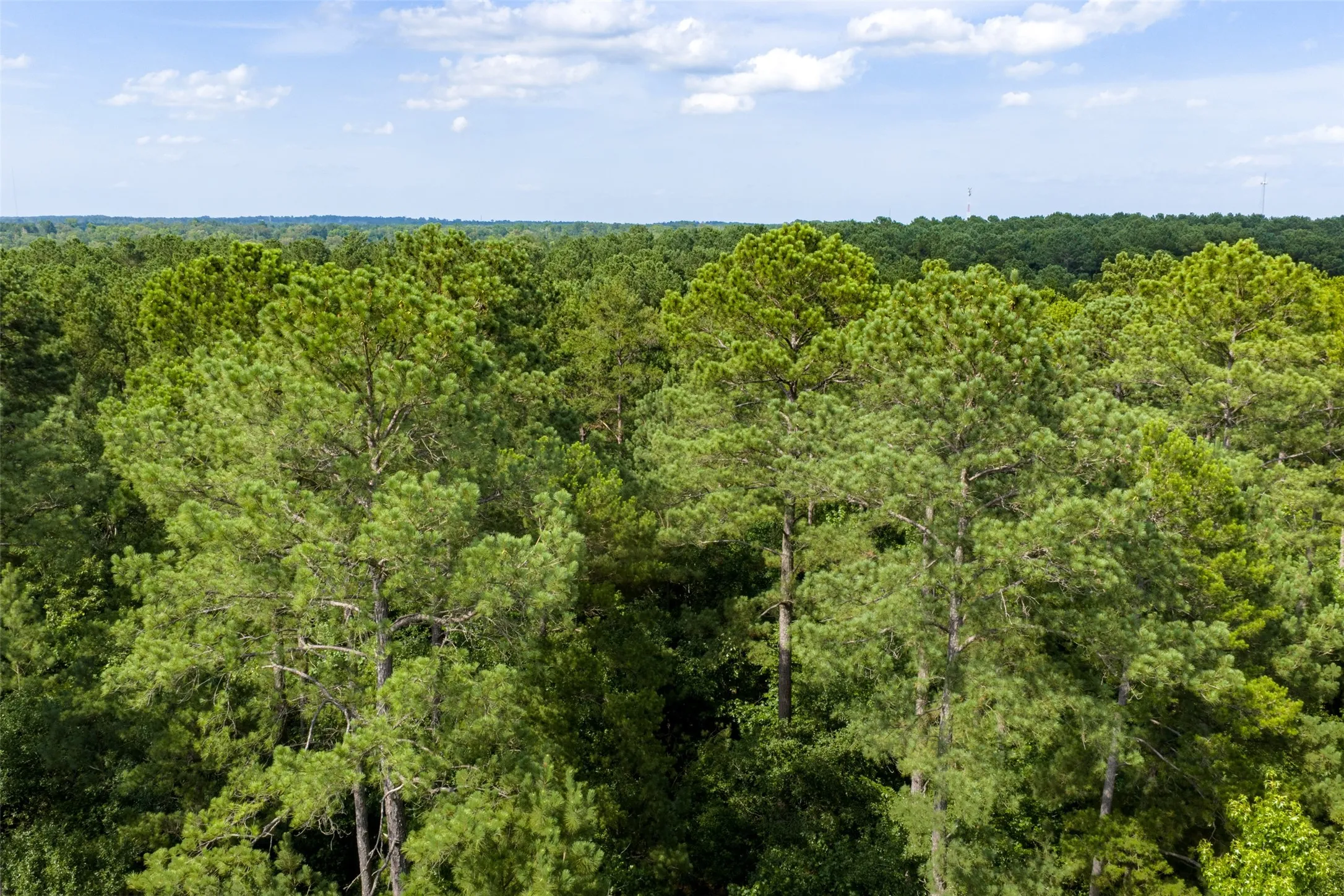 Unimproved Land For Sale in Rusk County , 00 County Road 4117, Overton, Texas 75684, 0, 0, Garage spaces, 0 Sqft, built in 0, mls#21324837, Real Estate Agent in Overton, Homes For Sale in Rusk county, Homes For Sale in Overton, Realtor in Overton Texas, Real Estate Brokerage Independent Realty Texas, Luminita Cordes Realtor