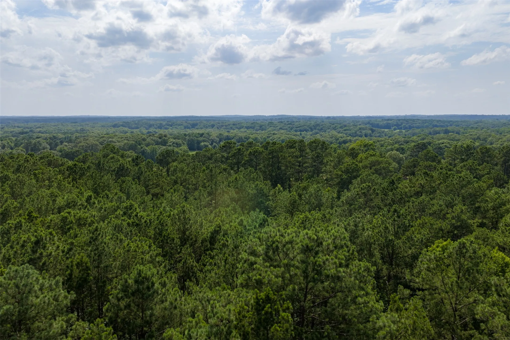 Unimproved Land For Sale in Rusk County , 00 County Road 4117, Overton, Texas 75684, 0, 0, Garage spaces, 0 Sqft, built in 0, mls#21324837, Real Estate Agent in Overton, Homes For Sale in Rusk county, Homes For Sale in Overton, Realtor in Overton Texas, Real Estate Brokerage Independent Realty Texas, Luminita Cordes Realtor