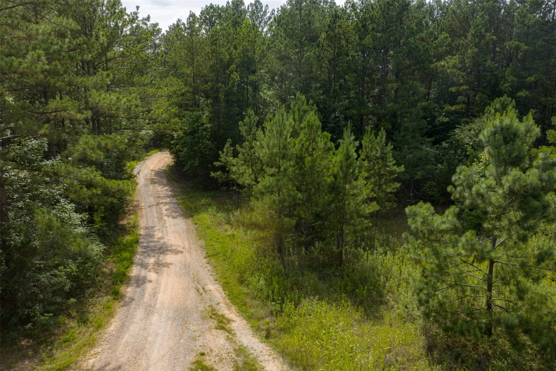 Unimproved Land For Sale in Rusk County , 00 County Road 4117, Overton, Texas 75684, 0, 0, Garage spaces, 0 Sqft, built in 0, mls#21324837, Real Estate Agent in Overton, Homes For Sale in Rusk county, Homes For Sale in Overton, Realtor in Overton Texas, Real Estate Brokerage Independent Realty Texas, Luminita Cordes Realtor