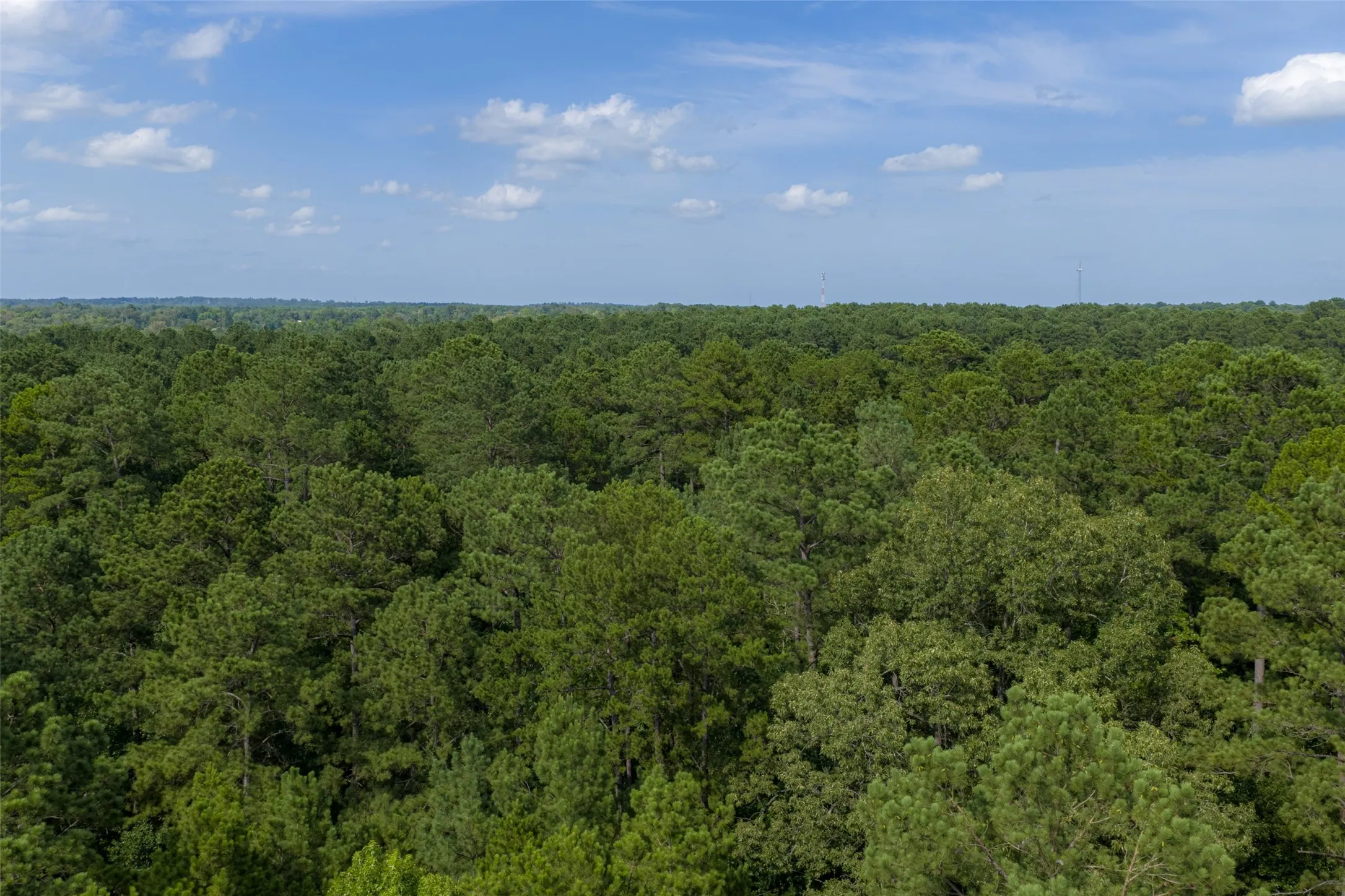 Unimproved Land For Sale in Rusk County , 00 County Road 4117, Overton, Texas 75684, 0, 0, Garage spaces, 0 Sqft, built in 0, mls#21324837, Real Estate Agent in Overton, Homes For Sale in Rusk county, Homes For Sale in Overton, Realtor in Overton Texas, Real Estate Brokerage Independent Realty Texas, Luminita Cordes Realtor