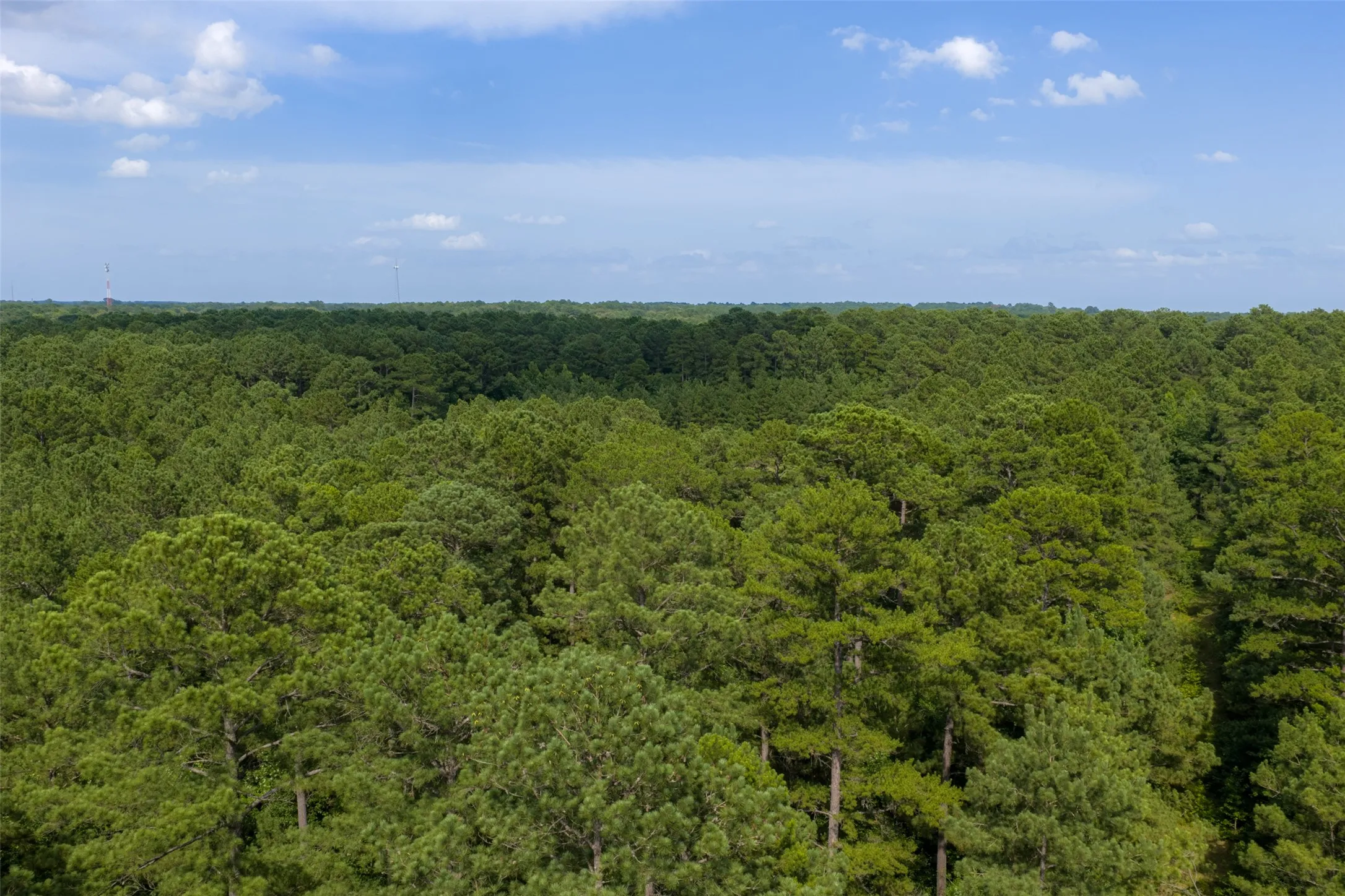Unimproved Land For Sale in Rusk County , 00 County Road 4117, Overton, Texas 75684, 0, 0, Garage spaces, 0 Sqft, built in 0, mls#21324837, Real Estate Agent in Overton, Homes For Sale in Rusk county, Homes For Sale in Overton, Realtor in Overton Texas, Real Estate Brokerage Independent Realty Texas, Luminita Cordes Realtor