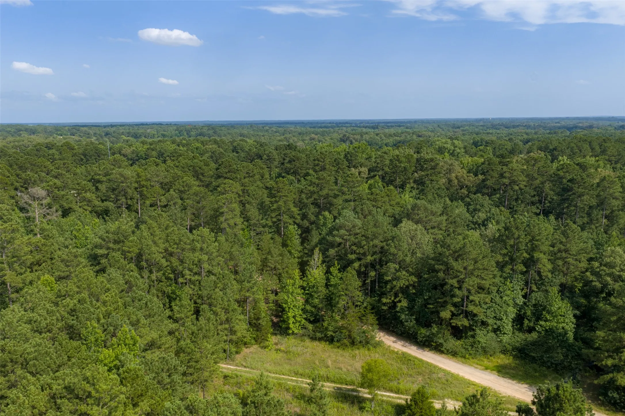 Unimproved Land For Sale in Rusk County , 00 County Road 4117, Overton, Texas 75684, 0, 0, Garage spaces, 0 Sqft, built in 0, mls#21324837, Real Estate Agent in Overton, Homes For Sale in Rusk county, Homes For Sale in Overton, Realtor in Overton Texas, Real Estate Brokerage Independent Realty Texas, Luminita Cordes Realtor
