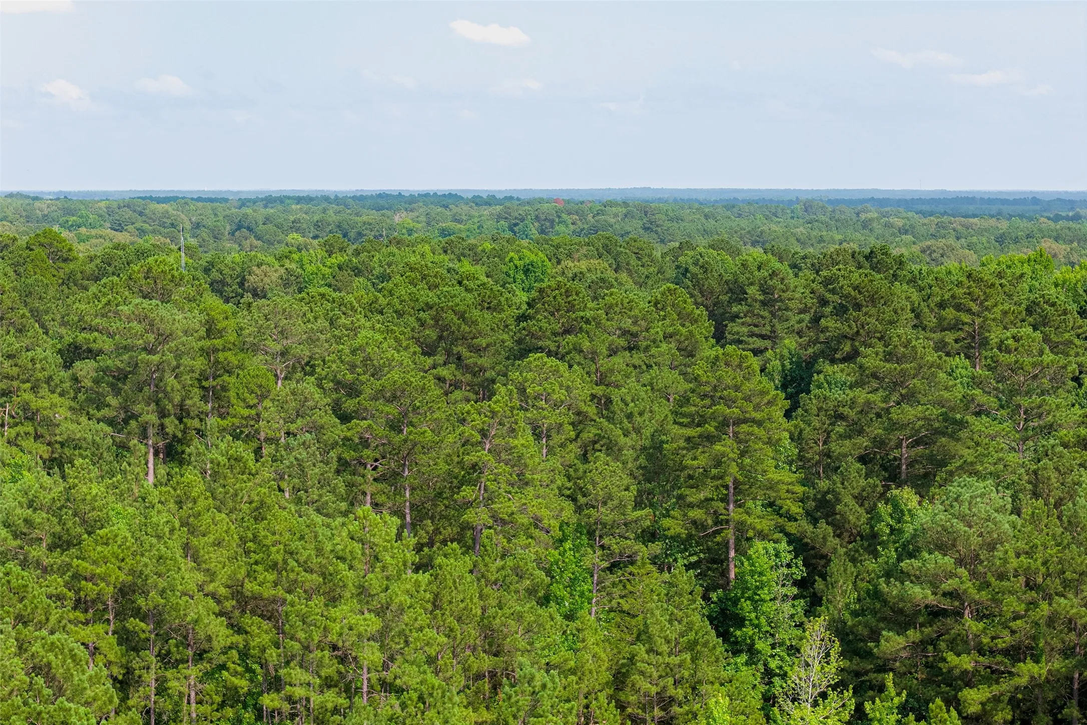 Unimproved Land For Sale in Rusk County , 00 County Road 4117, Overton, Texas 75684, 0, 0, Garage spaces, 0 Sqft, built in 0, mls#21324837, Real Estate Agent in Overton, Homes For Sale in Rusk county, Homes For Sale in Overton, Realtor in Overton Texas, Real Estate Brokerage Independent Realty Texas, Luminita Cordes Realtor