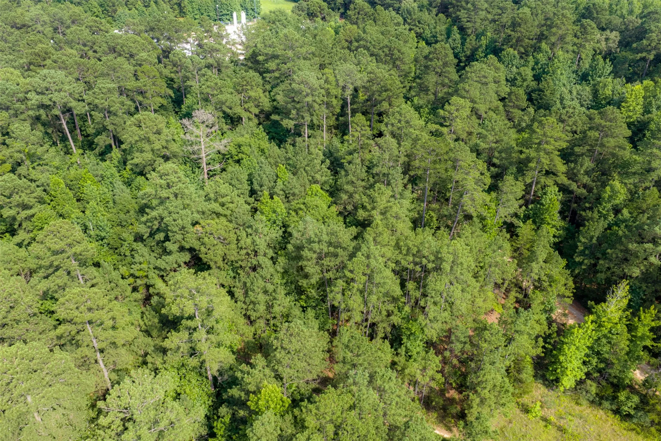 Unimproved Land For Sale in Rusk County , 00 County Road 4117, Overton, Texas 75684, 0, 0, Garage spaces, 0 Sqft, built in 0, mls#21324837, Real Estate Agent in Overton, Homes For Sale in Rusk county, Homes For Sale in Overton, Realtor in Overton Texas, Real Estate Brokerage Independent Realty Texas, Luminita Cordes Realtor