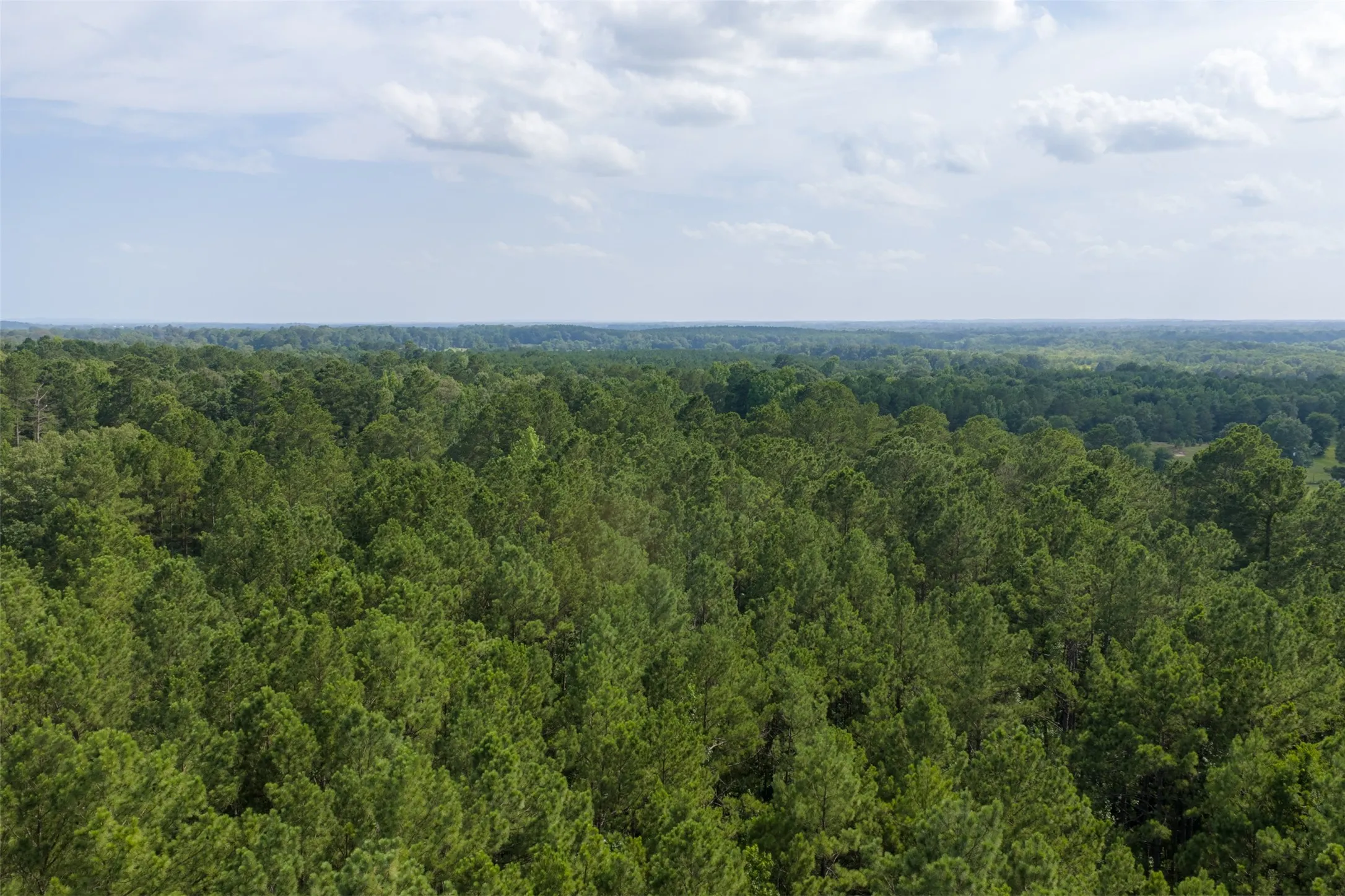 Unimproved Land For Sale in Rusk County , 00 County Road 4117, Overton, Texas 75684, 0, 0, Garage spaces, 0 Sqft, built in 0, mls#21324837, Real Estate Agent in Overton, Homes For Sale in Rusk county, Homes For Sale in Overton, Realtor in Overton Texas, Real Estate Brokerage Independent Realty Texas, Luminita Cordes Realtor