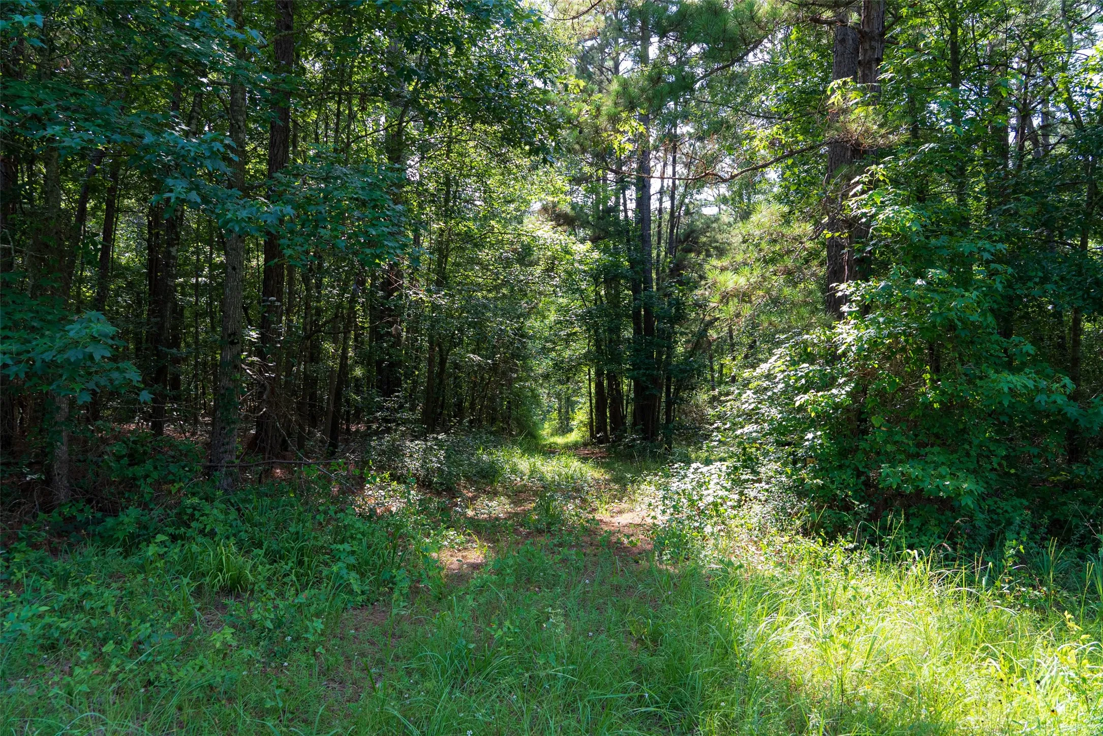 Unimproved Land For Sale in Rusk County , 00 County Road 4117, Overton, Texas 75684, 0, 0, Garage spaces, 0 Sqft, built in 0, mls#21324837, Real Estate Agent in Overton, Homes For Sale in Rusk county, Homes For Sale in Overton, Realtor in Overton Texas, Real Estate Brokerage Independent Realty Texas, Luminita Cordes Realtor