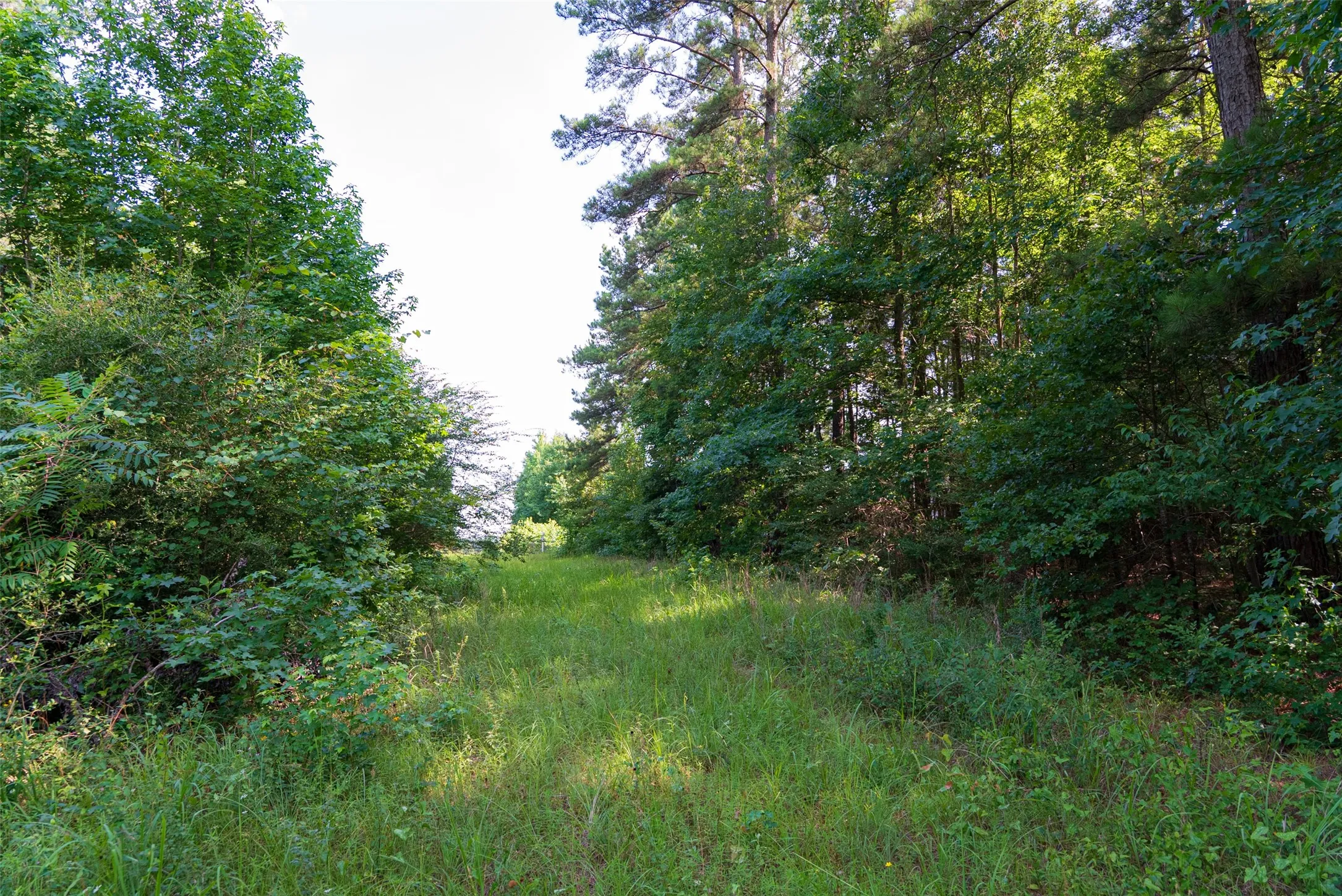 Unimproved Land For Sale in Rusk County , 00 County Road 4117, Overton, Texas 75684, 0, 0, Garage spaces, 0 Sqft, built in 0, mls#21324837, Real Estate Agent in Overton, Homes For Sale in Rusk county, Homes For Sale in Overton, Realtor in Overton Texas, Real Estate Brokerage Independent Realty Texas, Luminita Cordes Realtor