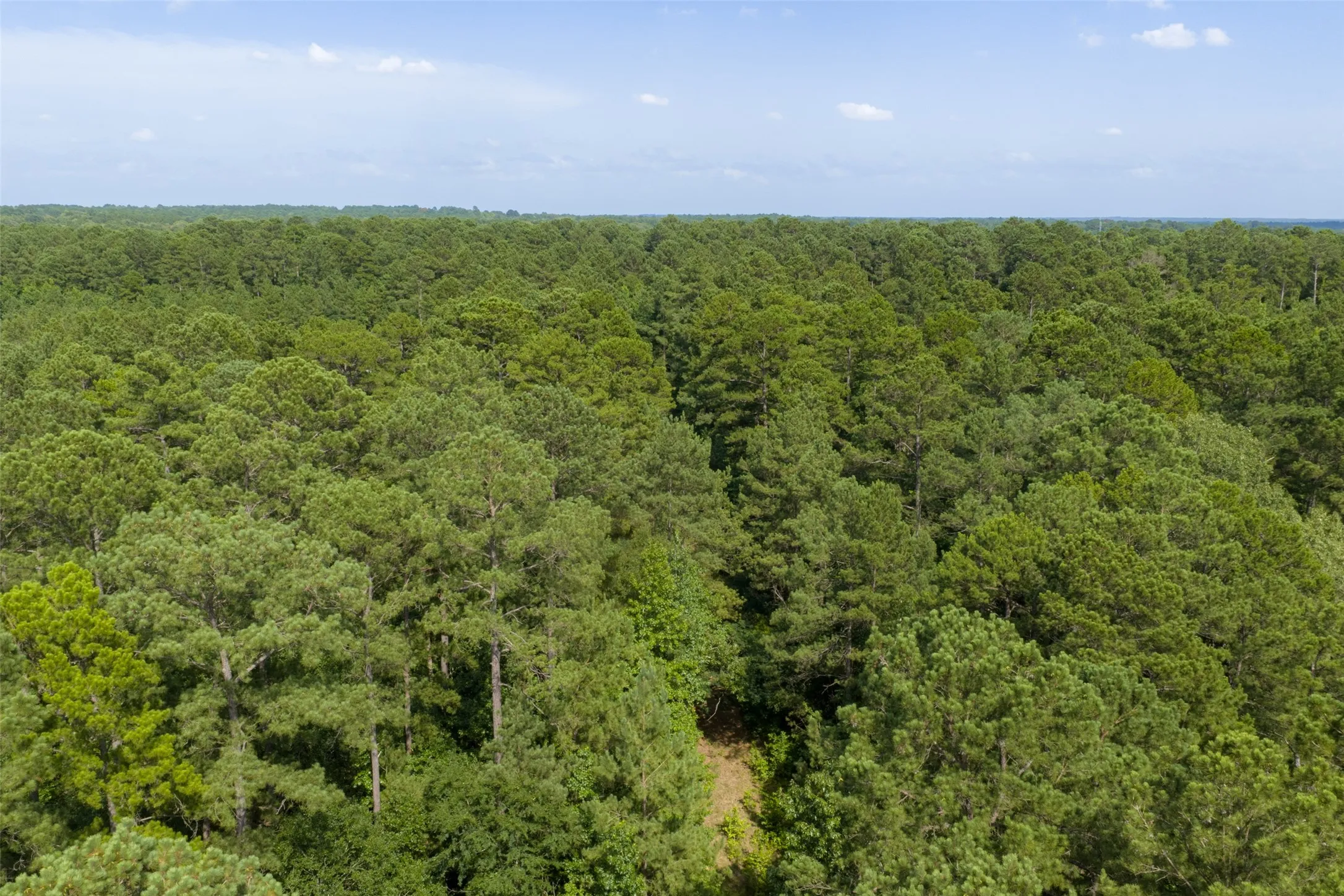 Unimproved Land For Sale in Rusk County , 00 County Road 4117, Overton, Texas 75684, 0, 0, Garage spaces, 0 Sqft, built in 0, mls#21324837, Real Estate Agent in Overton, Homes For Sale in Rusk county, Homes For Sale in Overton, Realtor in Overton Texas, Real Estate Brokerage Independent Realty Texas, Luminita Cordes Realtor