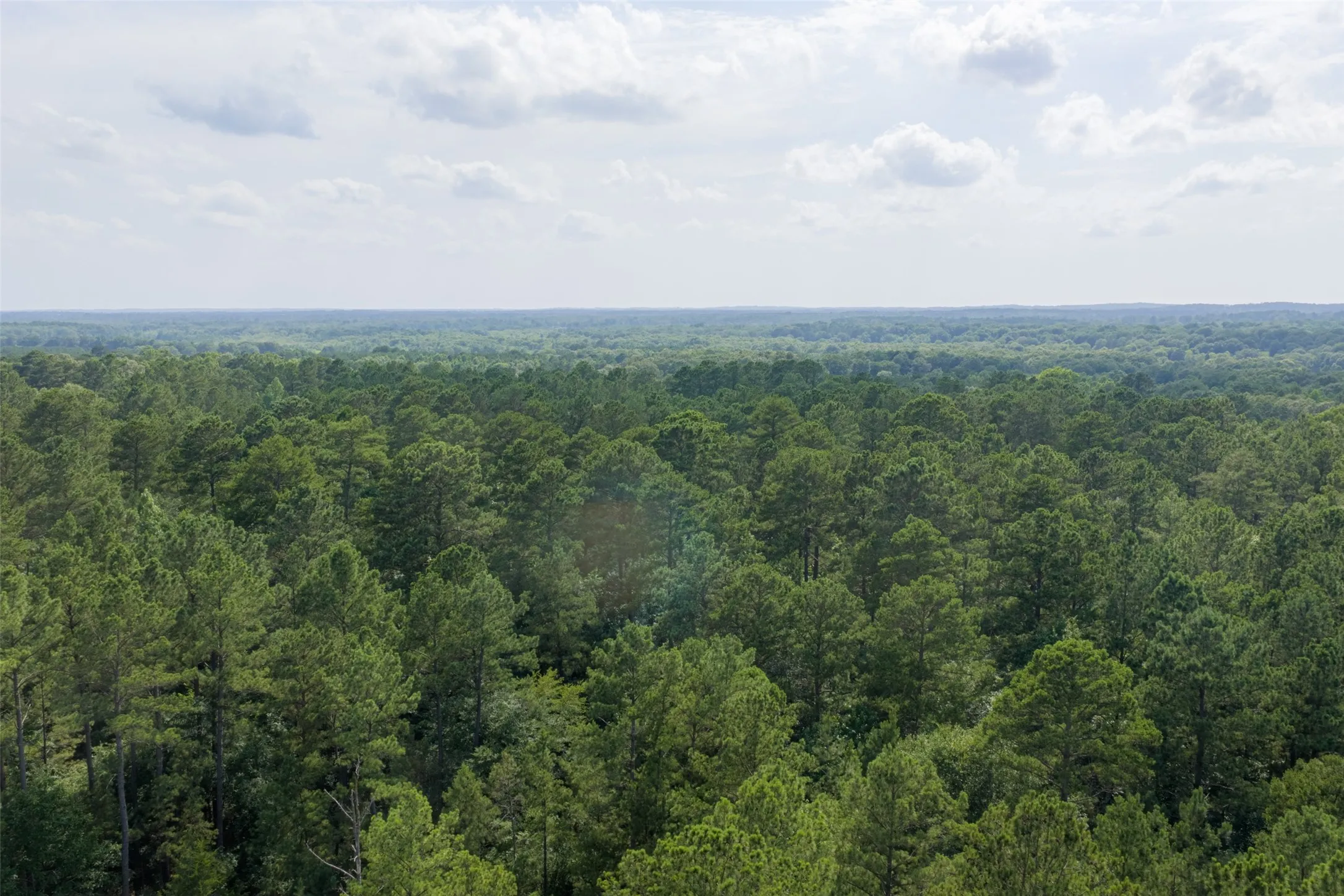 Unimproved Land For Sale in Rusk County , 00 County Road 4117, Overton, Texas 75684, 0, 0, Garage spaces, 0 Sqft, built in 0, mls#21324837, Real Estate Agent in Overton, Homes For Sale in Rusk county, Homes For Sale in Overton, Realtor in Overton Texas, Real Estate Brokerage Independent Realty Texas, Luminita Cordes Realtor