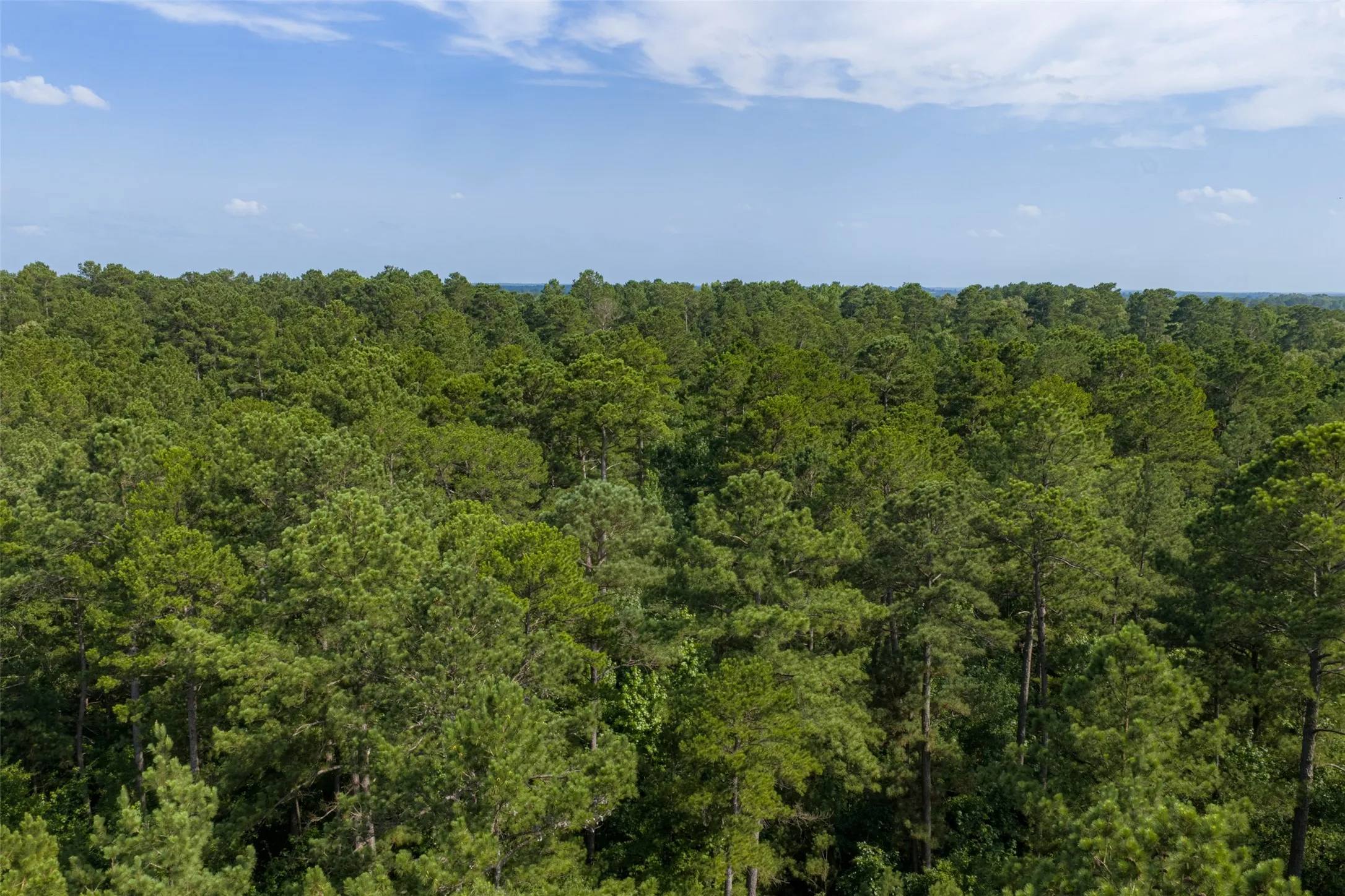 Unimproved Land For Sale in Rusk County , 00 County Road 4117, Overton, Texas 75684, 0, 0, Garage spaces, 0 Sqft, built in 0, mls#21324837, Real Estate Agent in Overton, Homes For Sale in Rusk county, Homes For Sale in Overton, Realtor in Overton Texas, Real Estate Brokerage Independent Realty Texas, Luminita Cordes Realtor