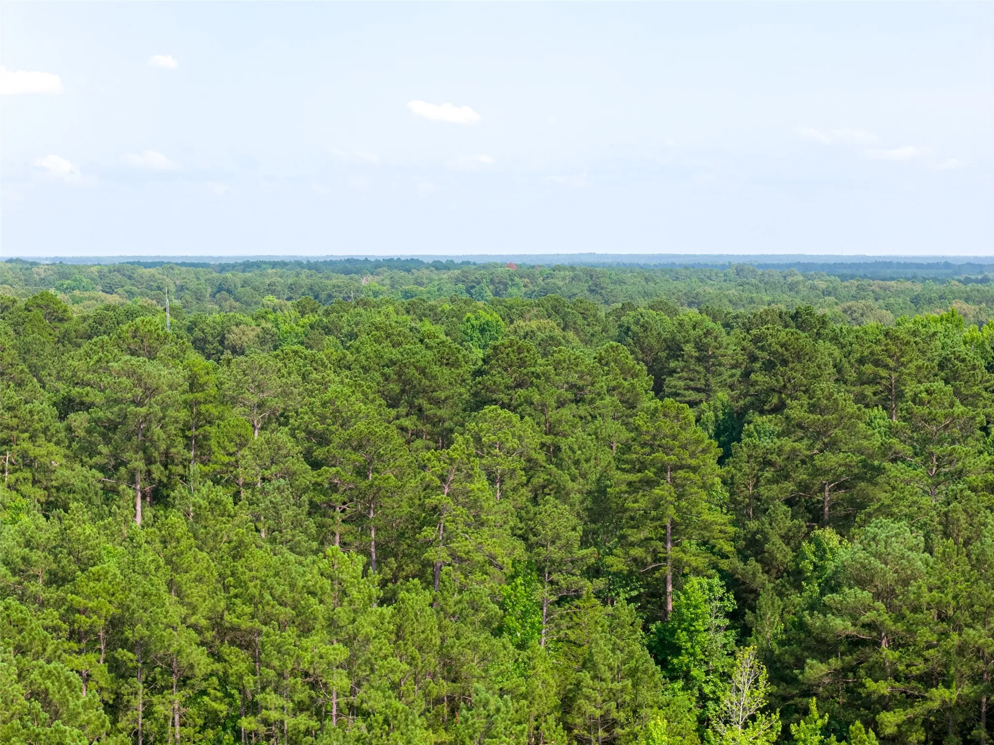 Unimproved Land For Sale in Rusk County , 00 County Road 4117, Overton, Texas 75684, 0, 0, Garage spaces, 0 Sqft, built in 0, mls#21324837, Real Estate Agent in Overton, Homes For Sale in Rusk county, Homes For Sale in Overton, Realtor in Overton Texas, Real Estate Brokerage Independent Realty Texas, Luminita Cordes Realtor