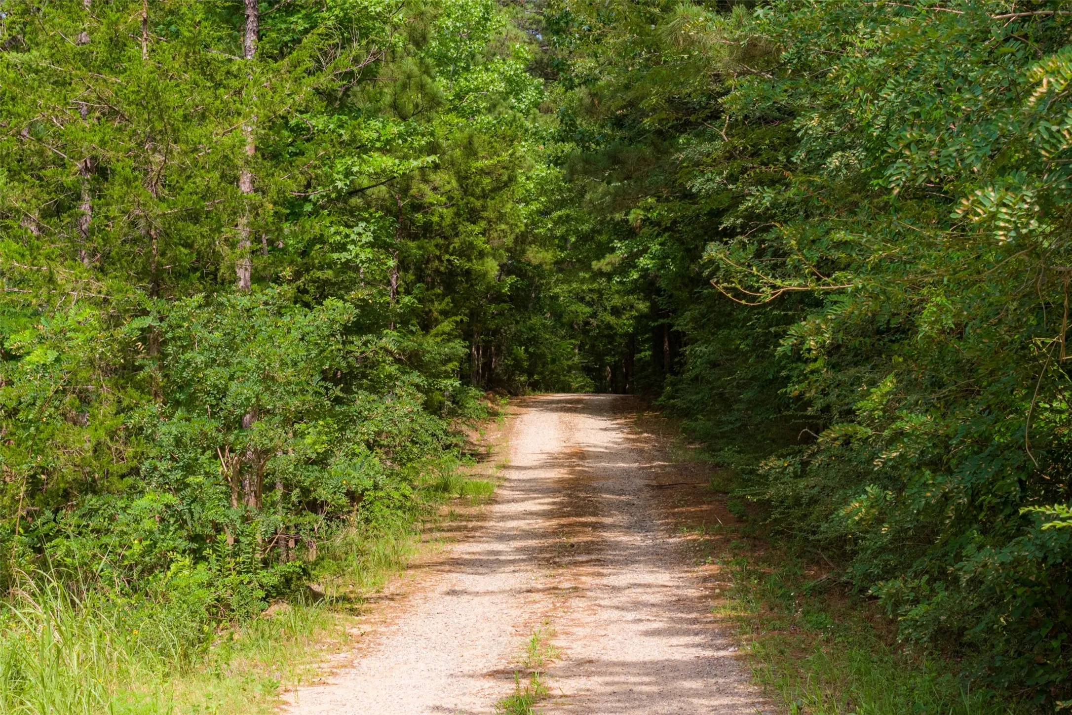 Unimproved Land For Sale in Rusk County , 00 County Road 4117, Overton, Texas 75684, 0, 0, Garage spaces, 0 Sqft, built in 0, mls#21324837, Real Estate Agent in Overton, Homes For Sale in Rusk county, Homes For Sale in Overton, Realtor in Overton Texas, Real Estate Brokerage Independent Realty Texas, Luminita Cordes Realtor