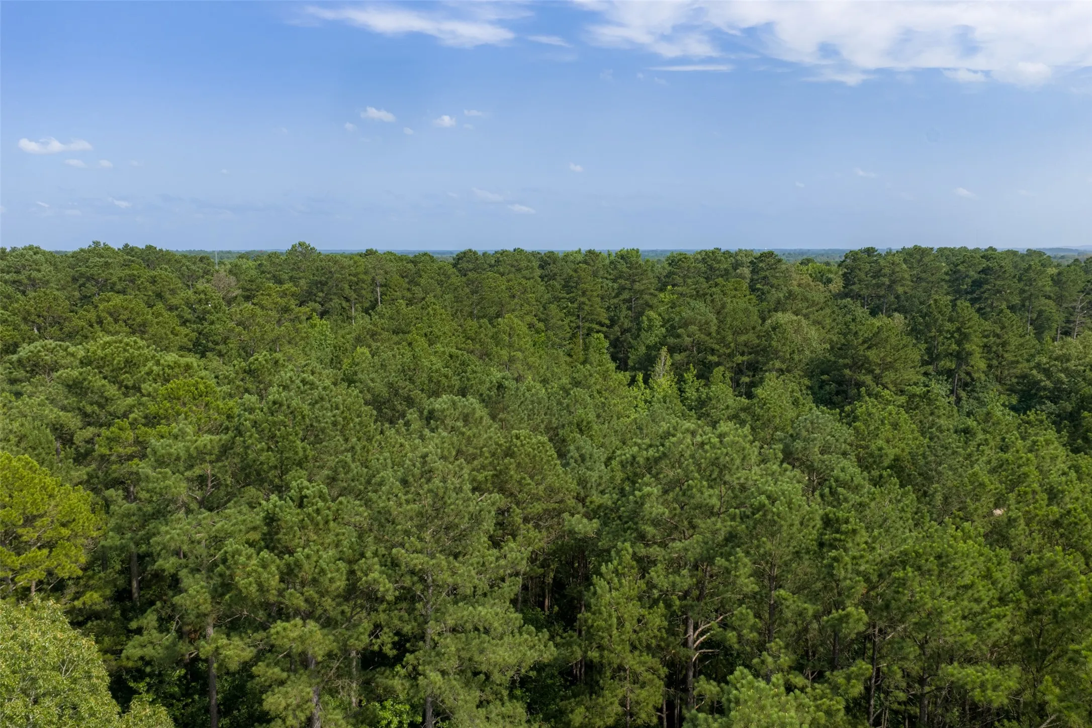 Unimproved Land For Sale in Rusk County , 00 County Road 4117, Overton, Texas 75684, 0, 0, Garage spaces, 0 Sqft, built in 0, mls#21324837, Real Estate Agent in Overton, Homes For Sale in Rusk county, Homes For Sale in Overton, Realtor in Overton Texas, Real Estate Brokerage Independent Realty Texas, Luminita Cordes Realtor