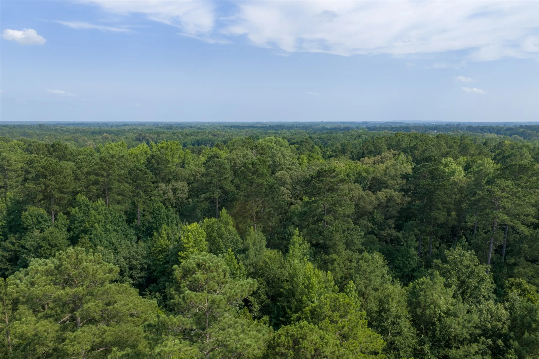 Unimproved Land For Sale in Rusk County , 00 County Road 4117, Overton, Texas 75684, 0, 0, Garage spaces, 0 Sqft, built in 0, mls#21324837, Real Estate Agent in Overton, Homes For Sale in Rusk county, Homes For Sale in Overton, Realtor in Overton Texas, Real Estate Brokerage Independent Realty Texas, Luminita Cordes Realtor