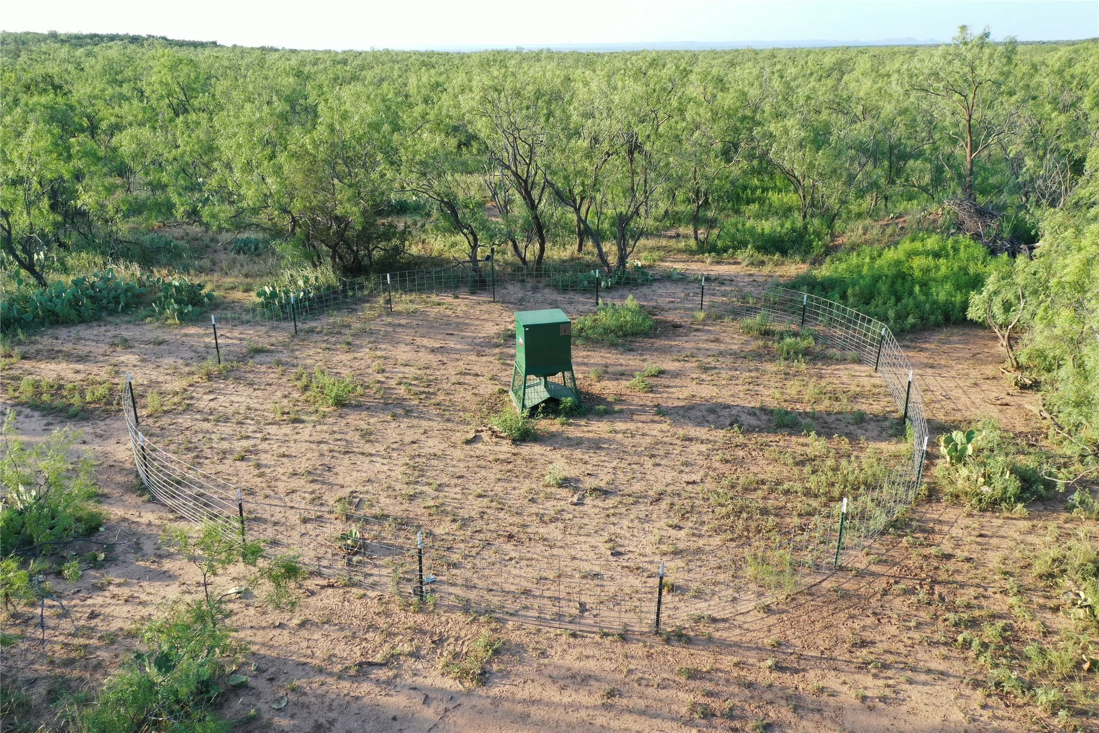 Ranch For Sale in Coke County , 144000 TX Hwy 208, Robert Lee, Texas 76945, 0, 0, Garage spaces, 0 Sqft, built in 0, Price $3,290,000, mls#21324860, Real Estate Agent in Robert Lee, Homes For Sale in Coke county, Homes For Sale in Robert Lee, Realtor in Robert Lee Texas, Real Estate Brokerage Independent Realty Texas, Luminita Cordes Realtor