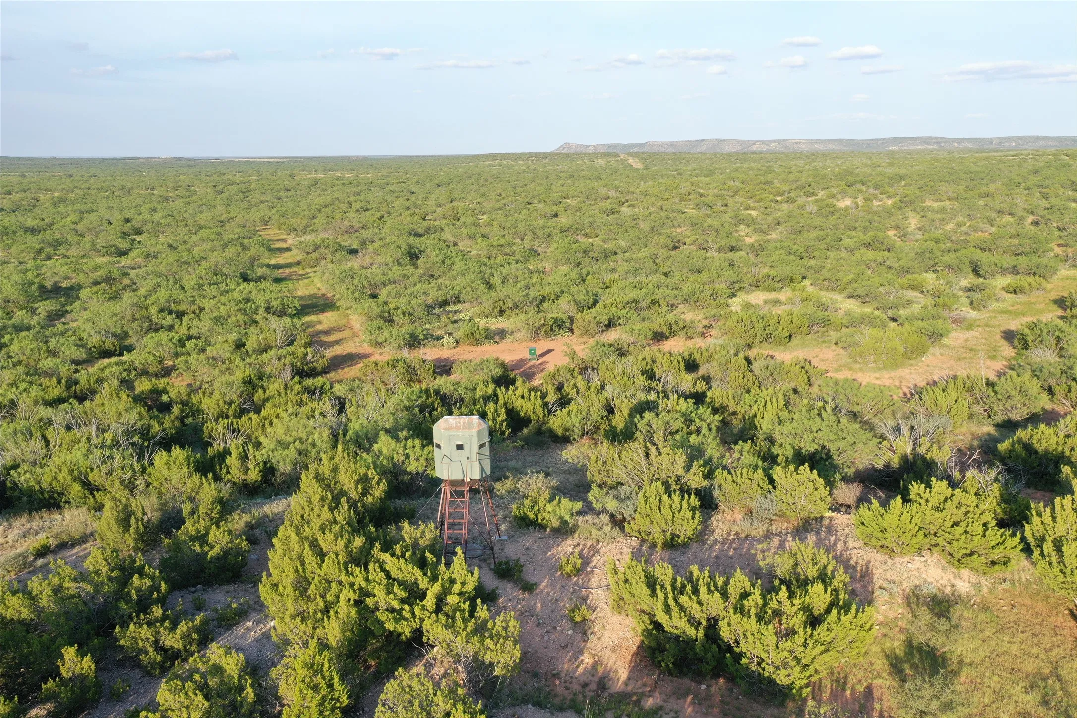 Ranch For Sale in Coke County , 144000 TX Hwy 208, Robert Lee, Texas 76945, 0, 0, Garage spaces, 0 Sqft, built in 0, Price $3,290,000, mls#21324860, Real Estate Agent in Robert Lee, Homes For Sale in Coke county, Homes For Sale in Robert Lee, Realtor in Robert Lee Texas, Real Estate Brokerage Independent Realty Texas, Luminita Cordes Realtor