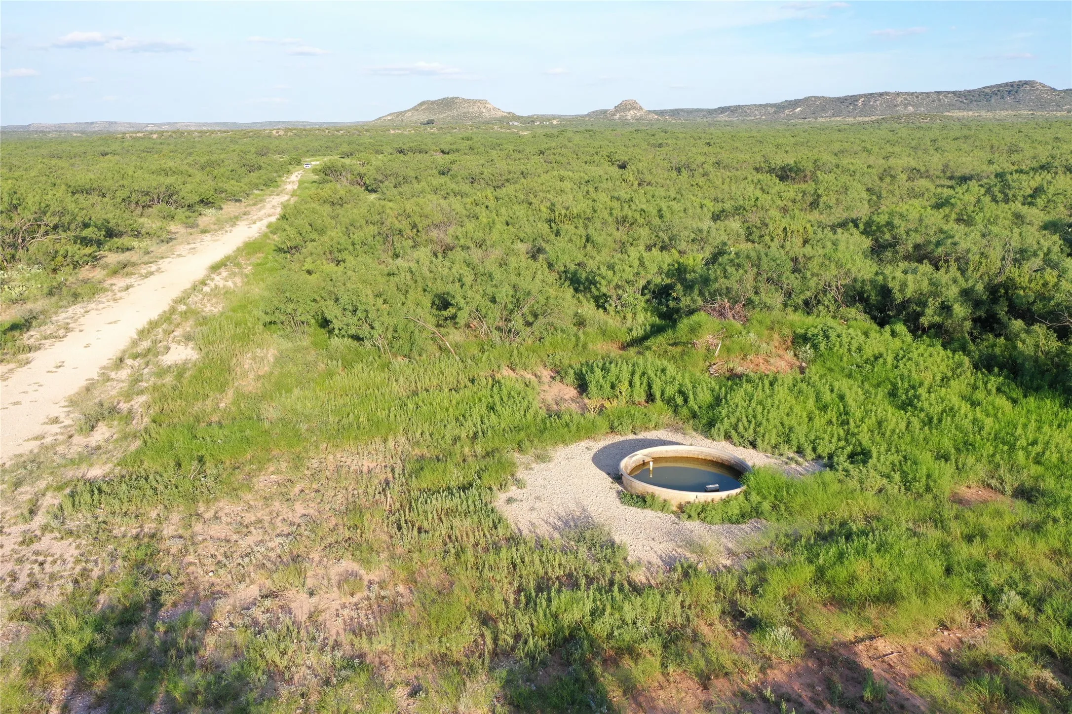 Ranch For Sale in Coke County , 144000 TX Hwy 208, Robert Lee, Texas 76945, 0, 0, Garage spaces, 0 Sqft, built in 0, Price $3,290,000, mls#21324860, Real Estate Agent in Robert Lee, Homes For Sale in Coke county, Homes For Sale in Robert Lee, Realtor in Robert Lee Texas, Real Estate Brokerage Independent Realty Texas, Luminita Cordes Realtor