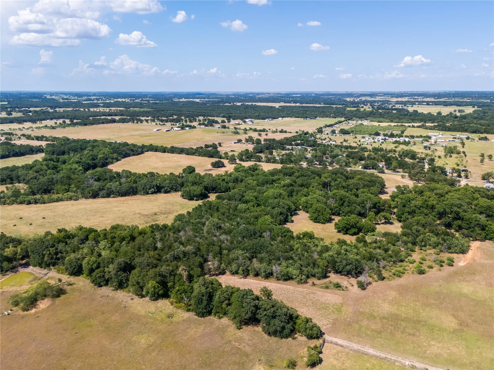 Unimproved Land For Sale in Mc Lennan County , 661 Clater Powell Road, Gholson, Texas 76705, 0, 0, Garage spaces, 0 Sqft, built in 0, mls#21324897, Real Estate Agent in Gholson, Homes For Sale in Mc Lennan county, Homes For Sale in Gholson, Realtor in Gholson Texas, Real Estate Brokerage Independent Realty Texas, Luminita Cordes Realtor