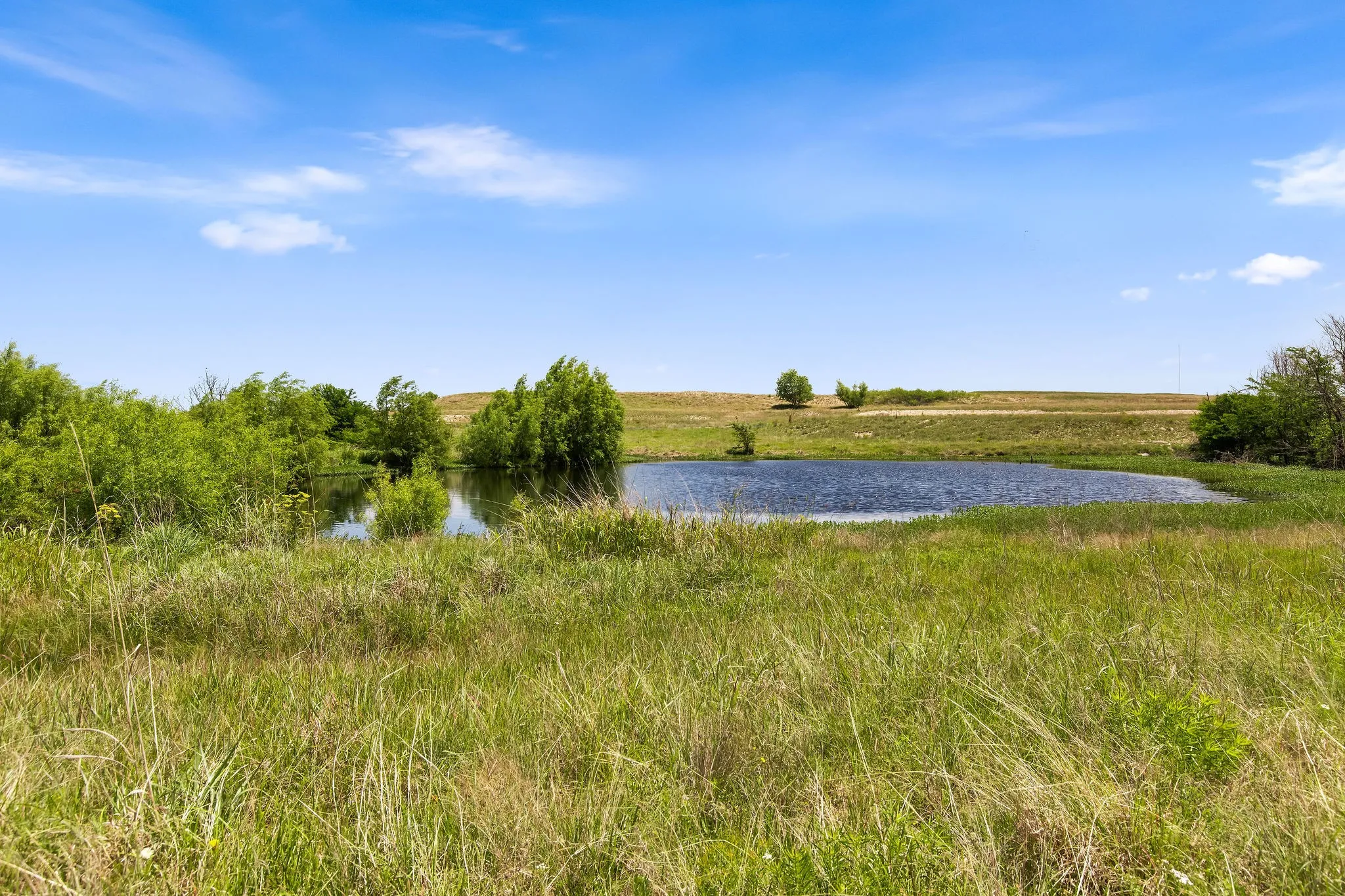 Ranch For Sale in Wise County , TBD 80+/- Acres CR-4421, Rhome, Texas 76078, 0, 0, Garage spaces, 0 Sqft, built in 0, Price $1,240,000, mls#21324781, Real Estate Agent in Rhome, Homes For Sale in Wise county, Homes For Sale in Rhome, Realtor in Rhome Texas, Real Estate Brokerage Independent Realty Texas, Luminita Cordes Realtor