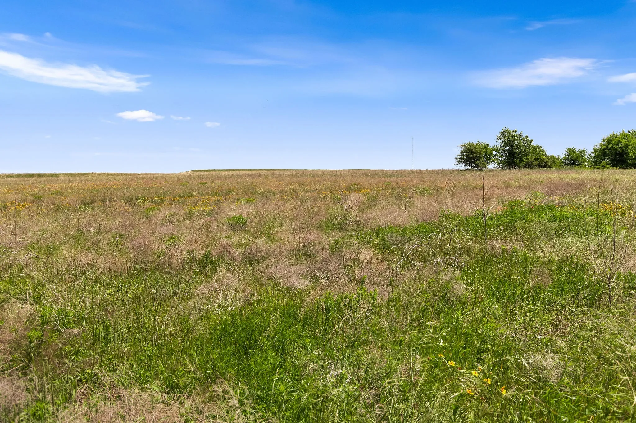 Ranch For Sale in Wise County , TBD 80+/- Acres CR-4421, Rhome, Texas 76078, 0, 0, Garage spaces, 0 Sqft, built in 0, Price $1,240,000, mls#21324781, Real Estate Agent in Rhome, Homes For Sale in Wise county, Homes For Sale in Rhome, Realtor in Rhome Texas, Real Estate Brokerage Independent Realty Texas, Luminita Cordes Realtor