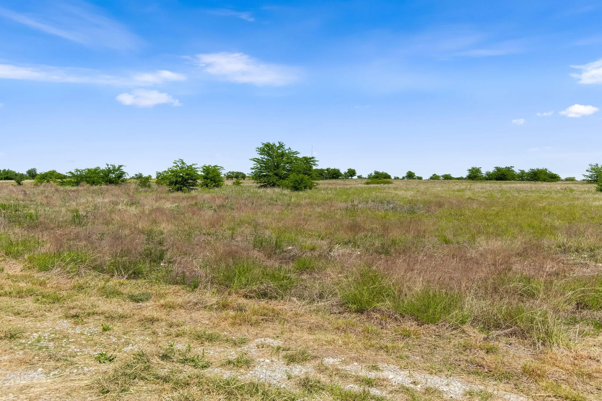 Ranch For Sale in Wise County , TBD 80+/- Acres CR-4421, Rhome, Texas 76078, 0, 0, Garage spaces, 0 Sqft, built in 0, Price $1,240,000, mls#21324781, Real Estate Agent in Rhome, Homes For Sale in Wise county, Homes For Sale in Rhome, Realtor in Rhome Texas, Real Estate Brokerage Independent Realty Texas, Luminita Cordes Realtor