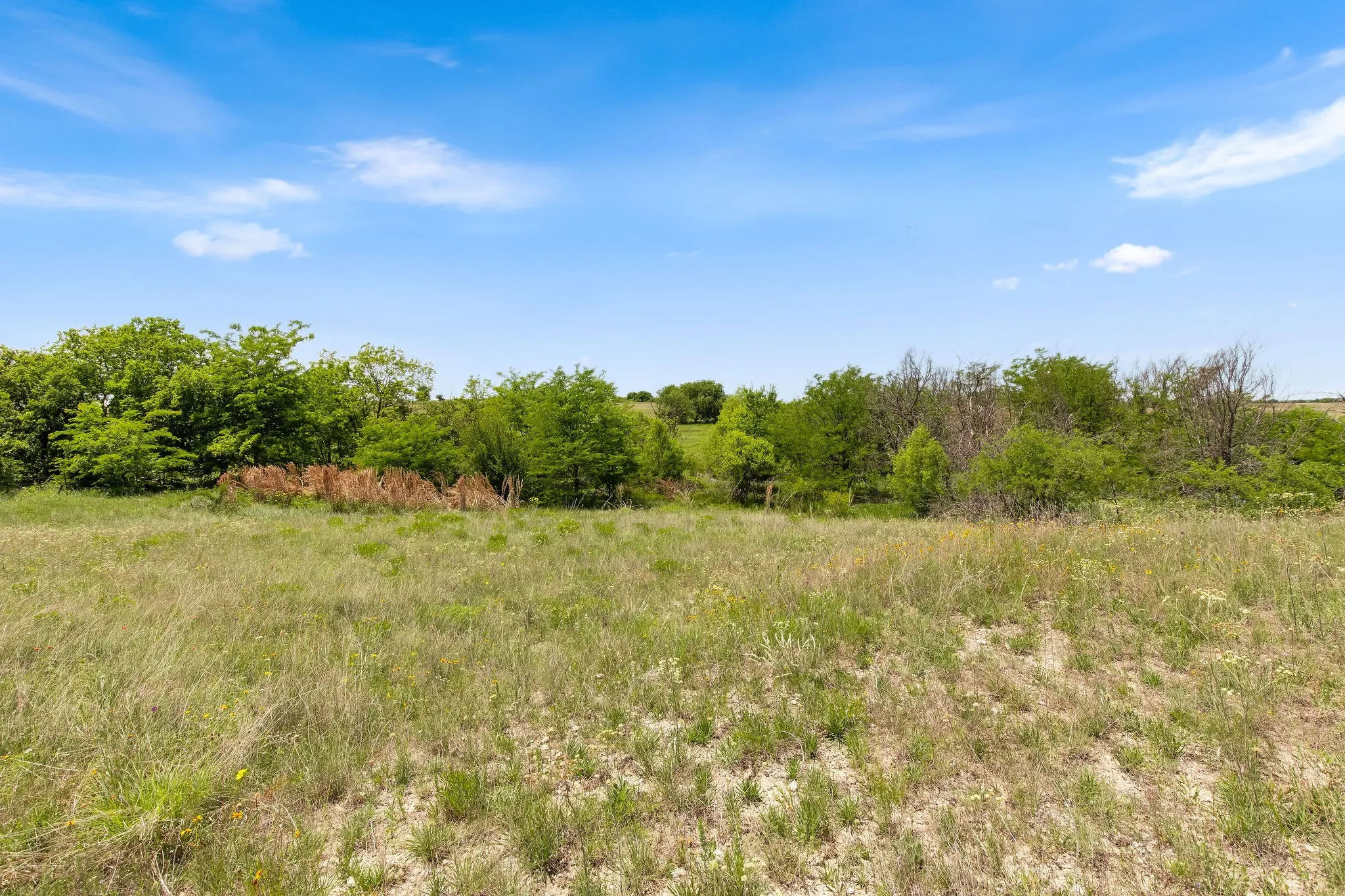 Ranch For Sale in Wise County , TBD 80+/- Acres CR-4421, Rhome, Texas 76078, 0, 0, Garage spaces, 0 Sqft, built in 0, Price $1,240,000, mls#21324781, Real Estate Agent in Rhome, Homes For Sale in Wise county, Homes For Sale in Rhome, Realtor in Rhome Texas, Real Estate Brokerage Independent Realty Texas, Luminita Cordes Realtor