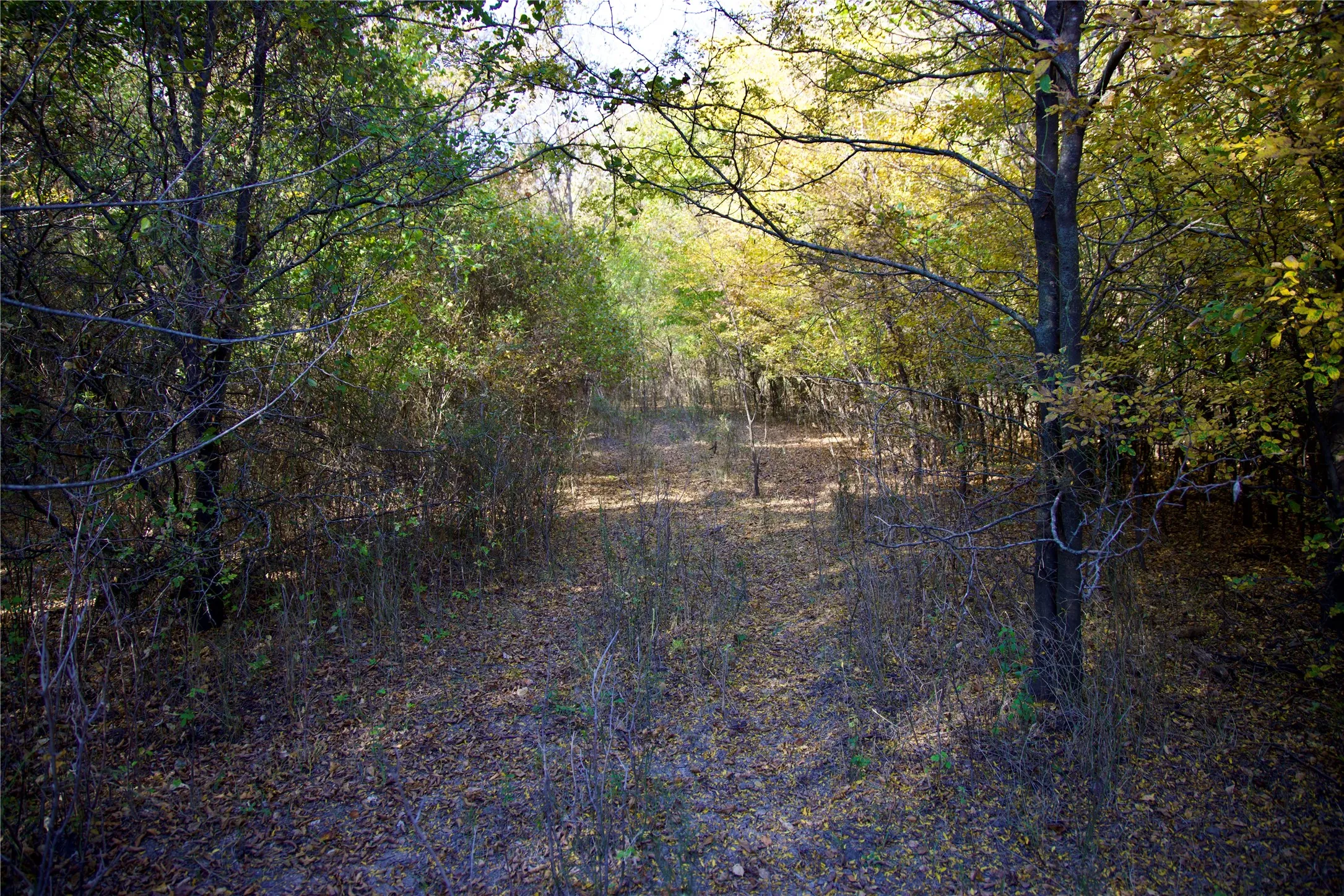 Ranch For Sale in Wise County , TBD 80+/- Acres CR-4421, Rhome, Texas 76078, 0, 0, Garage spaces, 0 Sqft, built in 0, Price $1,240,000, mls#21324781, Real Estate Agent in Rhome, Homes For Sale in Wise county, Homes For Sale in Rhome, Realtor in Rhome Texas, Real Estate Brokerage Independent Realty Texas, Luminita Cordes Realtor
