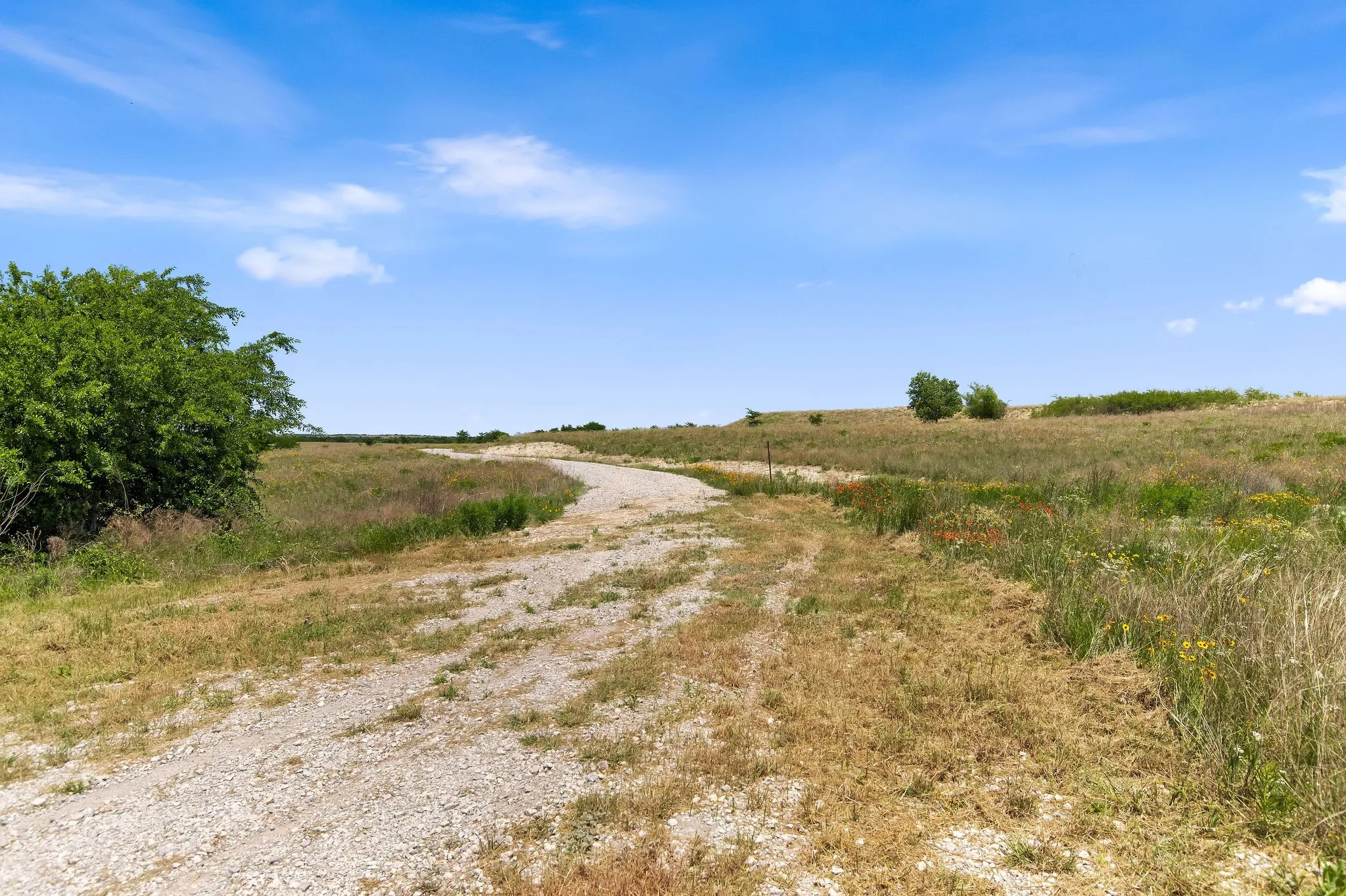 Ranch For Sale in Wise County , TBD 80+/- Acres CR-4421, Rhome, Texas 76078, 0, 0, Garage spaces, 0 Sqft, built in 0, Price $1,240,000, mls#21324781, Real Estate Agent in Rhome, Homes For Sale in Wise county, Homes For Sale in Rhome, Realtor in Rhome Texas, Real Estate Brokerage Independent Realty Texas, Luminita Cordes Realtor