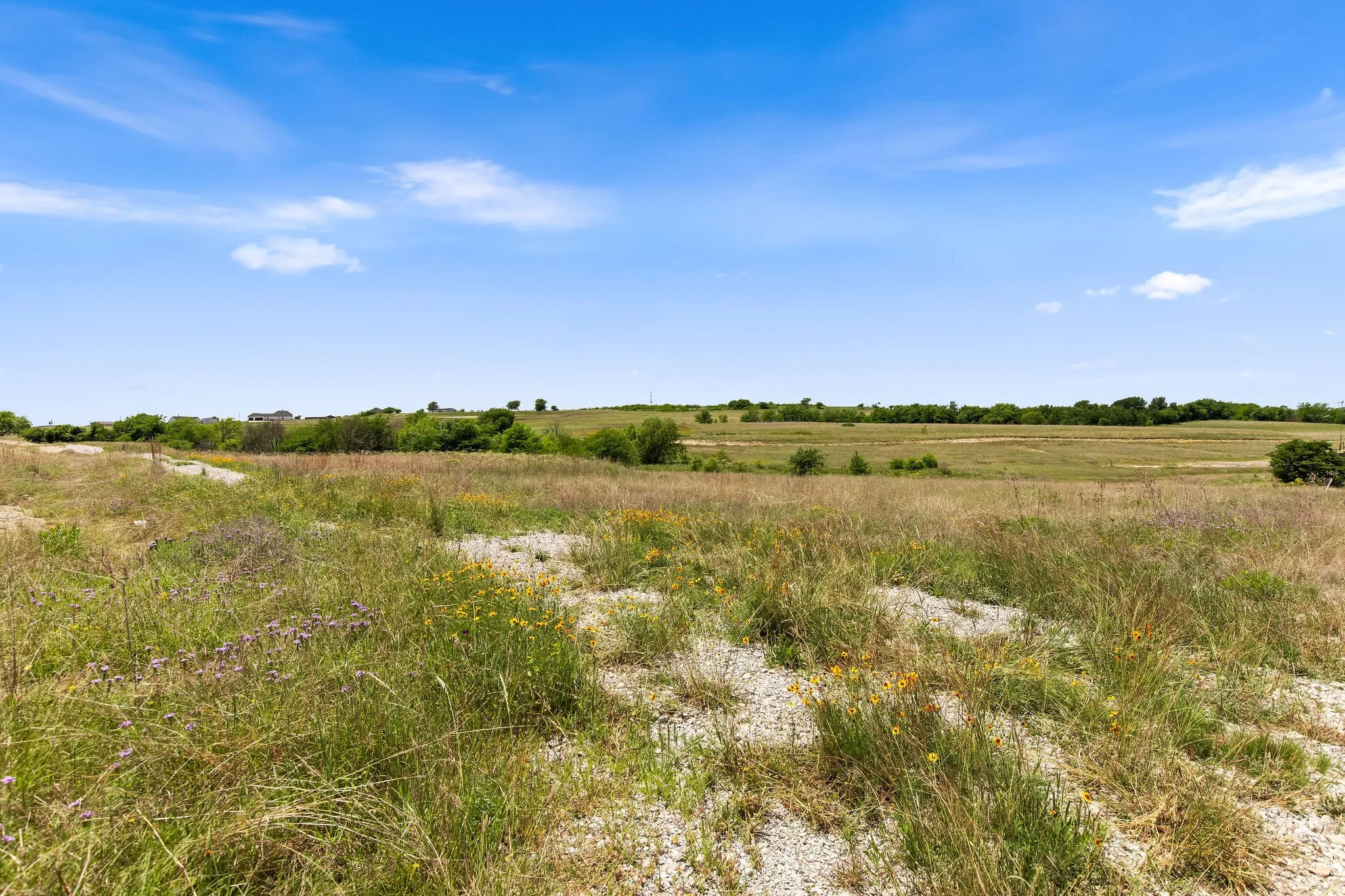 Ranch For Sale in Wise County , TBD 80+/- Acres CR-4421, Rhome, Texas 76078, 0, 0, Garage spaces, 0 Sqft, built in 0, Price $1,240,000, mls#21324781, Real Estate Agent in Rhome, Homes For Sale in Wise county, Homes For Sale in Rhome, Realtor in Rhome Texas, Real Estate Brokerage Independent Realty Texas, Luminita Cordes Realtor
