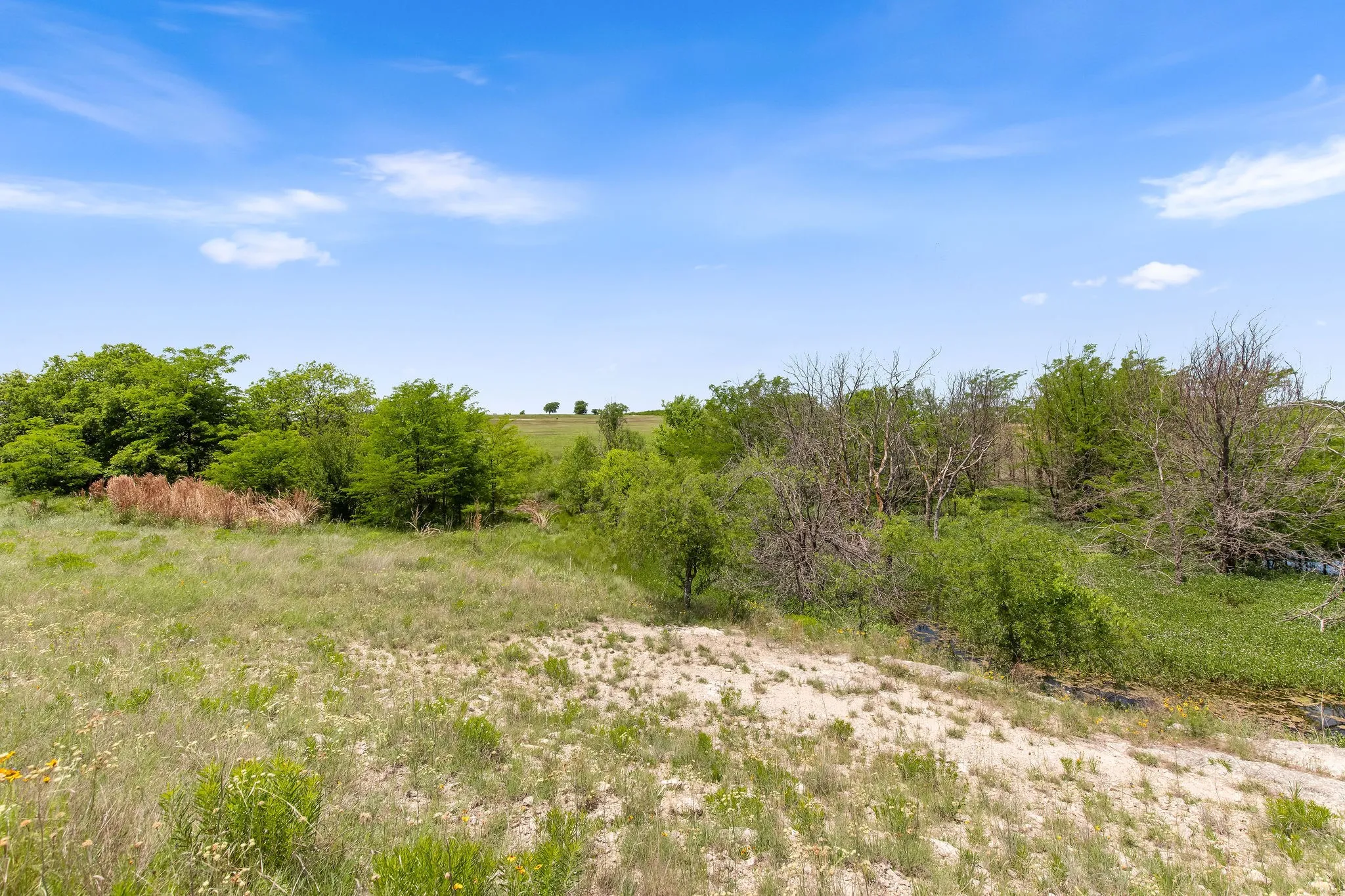 Ranch For Sale in Wise County , TBD 80+/- Acres CR-4421, Rhome, Texas 76078, 0, 0, Garage spaces, 0 Sqft, built in 0, Price $1,240,000, mls#21324781, Real Estate Agent in Rhome, Homes For Sale in Wise county, Homes For Sale in Rhome, Realtor in Rhome Texas, Real Estate Brokerage Independent Realty Texas, Luminita Cordes Realtor