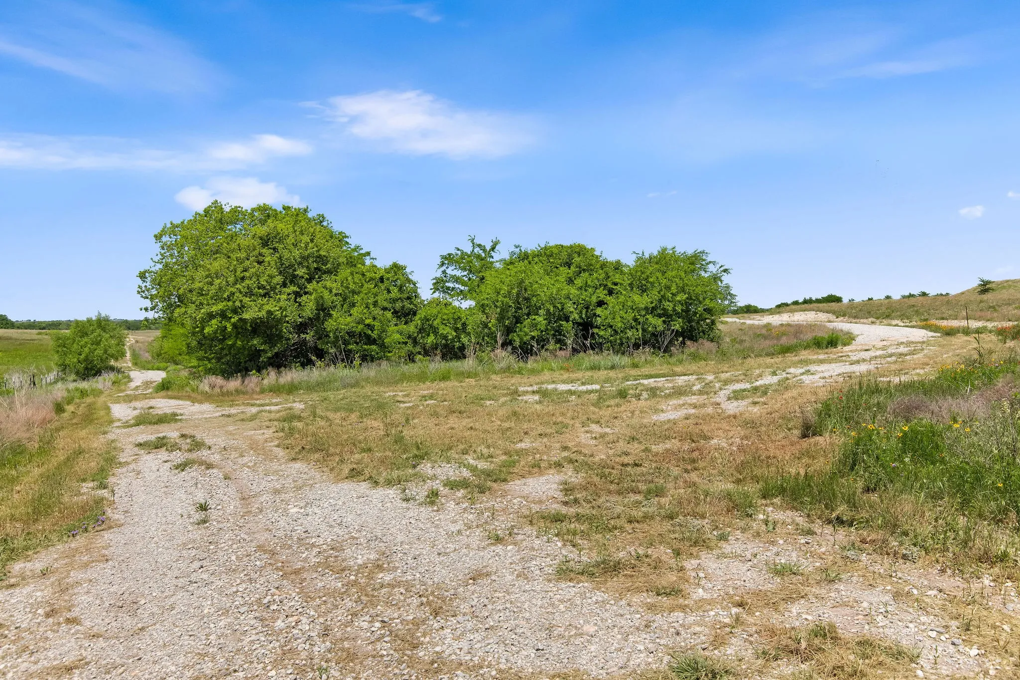 Ranch For Sale in Wise County , TBD 80+/- Acres CR-4421, Rhome, Texas 76078, 0, 0, Garage spaces, 0 Sqft, built in 0, Price $1,240,000, mls#21324781, Real Estate Agent in Rhome, Homes For Sale in Wise county, Homes For Sale in Rhome, Realtor in Rhome Texas, Real Estate Brokerage Independent Realty Texas, Luminita Cordes Realtor