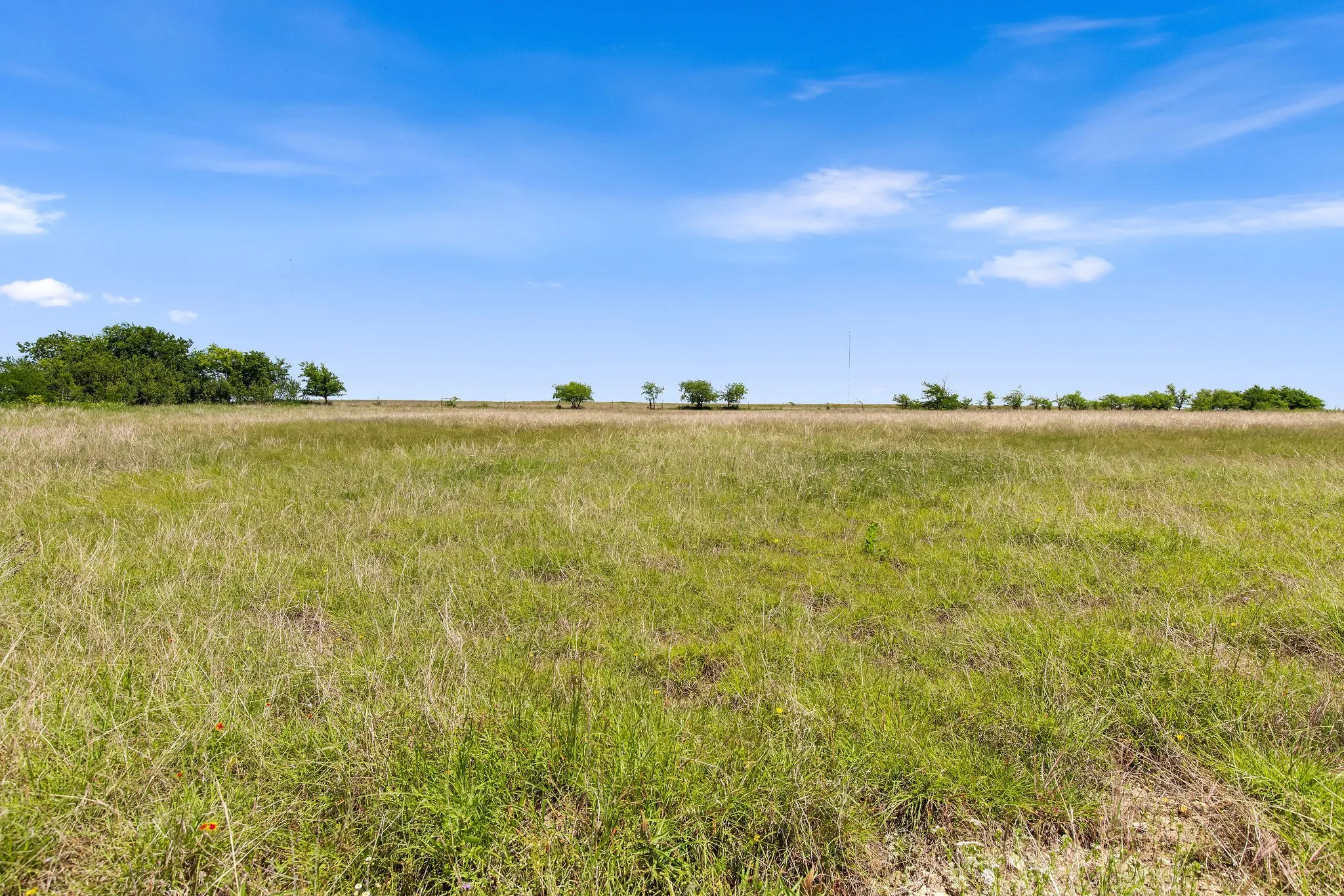 Ranch For Sale in Wise County , TBD 80+/- Acres CR-4421, Rhome, Texas 76078, 0, 0, Garage spaces, 0 Sqft, built in 0, Price $1,240,000, mls#21324781, Real Estate Agent in Rhome, Homes For Sale in Wise county, Homes For Sale in Rhome, Realtor in Rhome Texas, Real Estate Brokerage Independent Realty Texas, Luminita Cordes Realtor