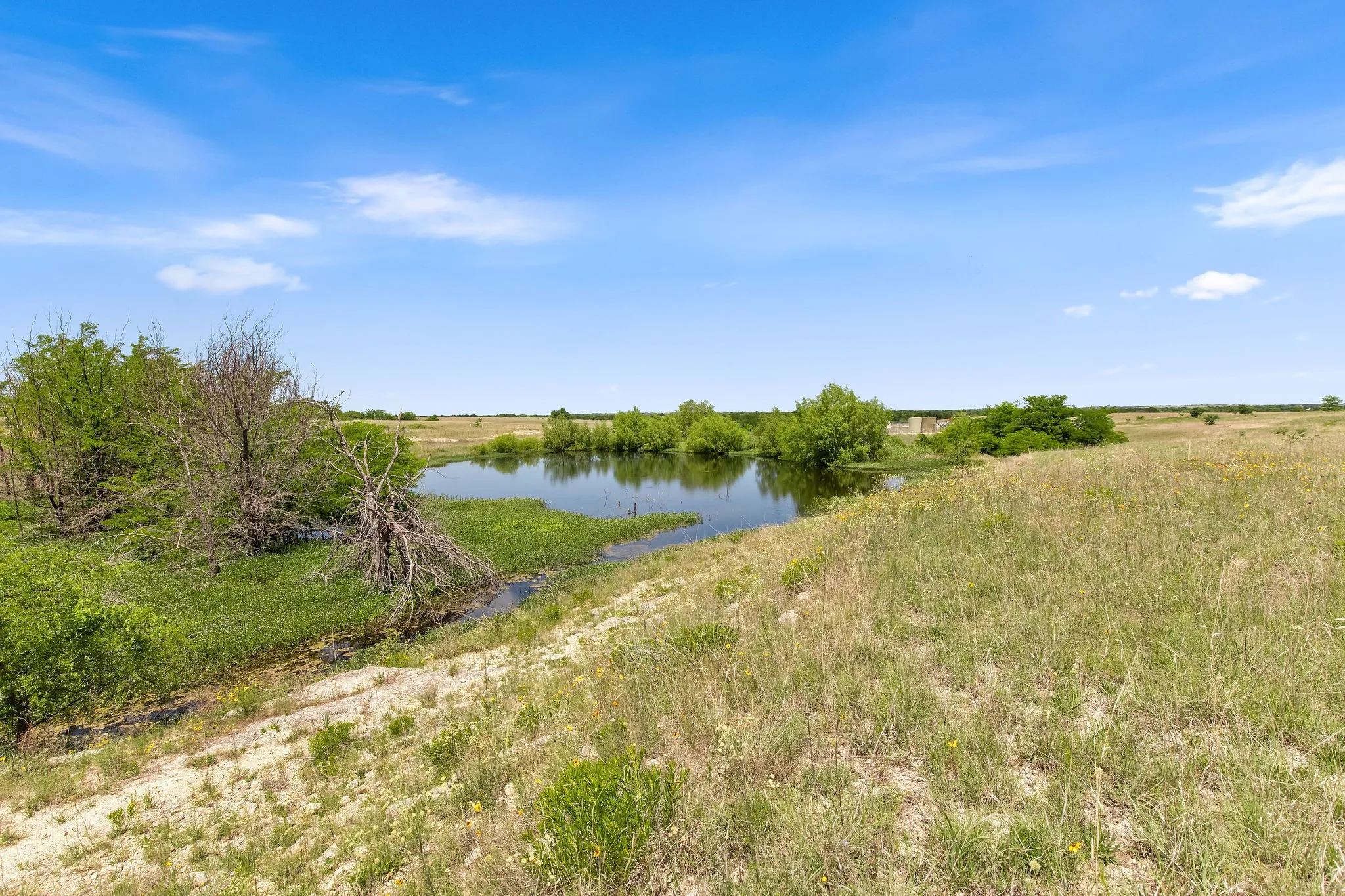 Ranch For Sale in Wise County , TBD 80+/- Acres CR-4421, Rhome, Texas 76078, 0, 0, Garage spaces, 0 Sqft, built in 0, Price $1,240,000, mls#21324781, Real Estate Agent in Rhome, Homes For Sale in Wise county, Homes For Sale in Rhome, Realtor in Rhome Texas, Real Estate Brokerage Independent Realty Texas, Luminita Cordes Realtor