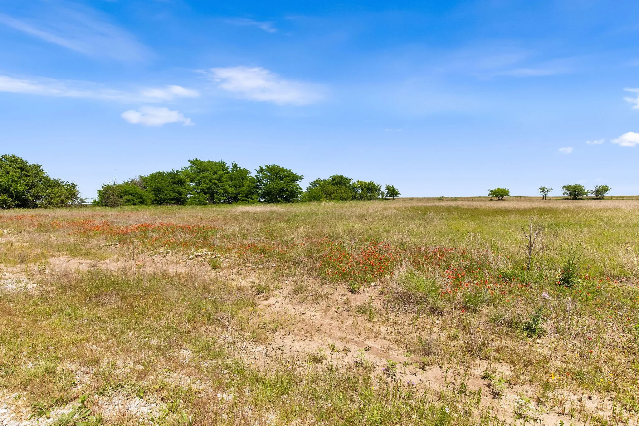 Ranch For Sale in Wise County , TBD 80+/- Acres CR-4421, Rhome, Texas 76078, 0, 0, Garage spaces, 0 Sqft, built in 0, Price $1,240,000, mls#21324781, Real Estate Agent in Rhome, Homes For Sale in Wise county, Homes For Sale in Rhome, Realtor in Rhome Texas, Real Estate Brokerage Independent Realty Texas, Luminita Cordes Realtor
