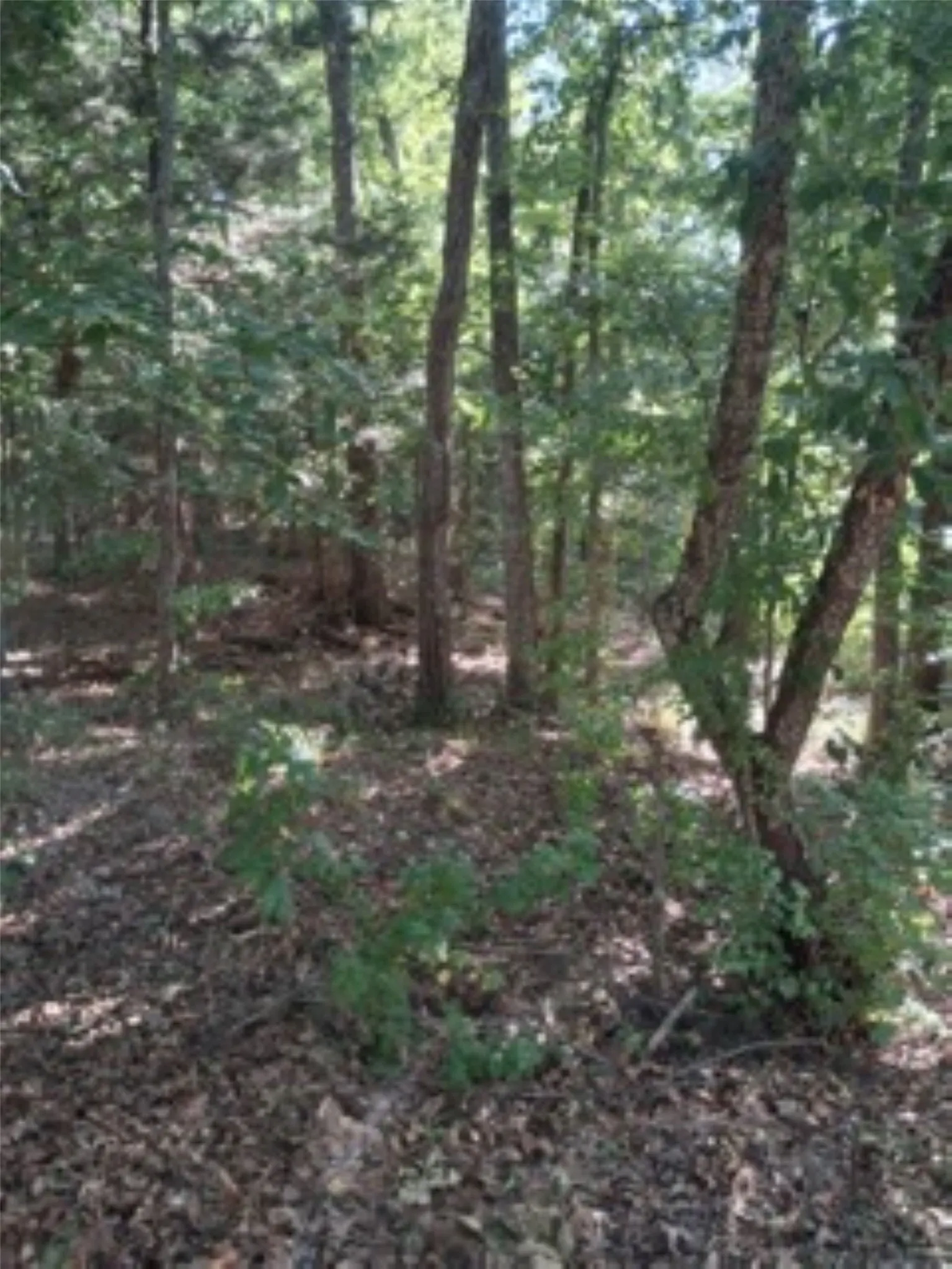 Unimproved Land For Sale in Van Zandt County , tbd Summit Ridge, Murchison, Texas 75778, 0, 0, Garage spaces, 0 Sqft, built in 0, mls#21323984, Real Estate Agent in Murchison, Homes For Sale in Van Zandt county, Homes For Sale in Murchison, Realtor in Murchison Texas, Real Estate Brokerage Independent Realty Texas, Luminita Cordes Realtor
