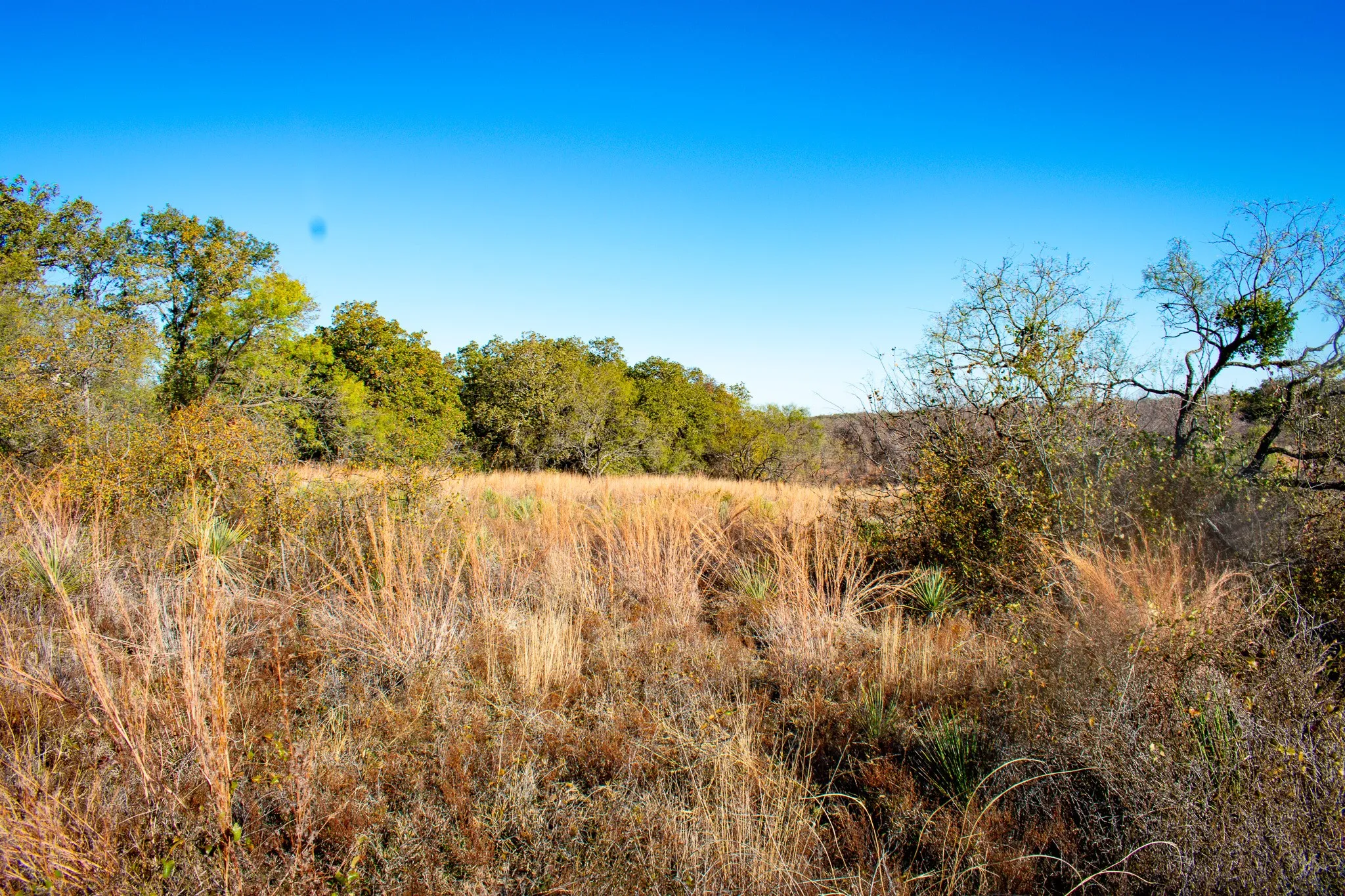 Unimproved Land For Sale in San Saba County , 3400 FM 45, San Saba, Texas 76877, 0, 0, Garage spaces, 0 Sqft, built in 0, Price $360,000, mls#21325079, Real Estate Agent in San Saba, Homes For Sale in San Saba county, Homes For Sale in San Saba, Realtor in San Saba Texas, Real Estate Brokerage Independent Realty Texas, Luminita Cordes Realtor
