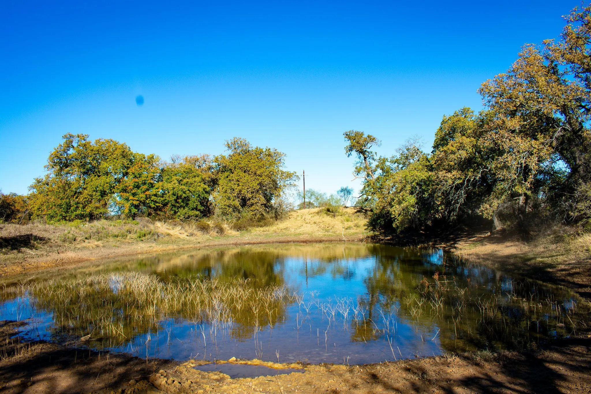 Unimproved Land For Sale in San Saba County , 3400 FM 45, San Saba, Texas 76877, 0, 0, Garage spaces, 0 Sqft, built in 0, Price $360,000, mls#21325079, Real Estate Agent in San Saba, Homes For Sale in San Saba county, Homes For Sale in San Saba, Realtor in San Saba Texas, Real Estate Brokerage Independent Realty Texas, Luminita Cordes Realtor