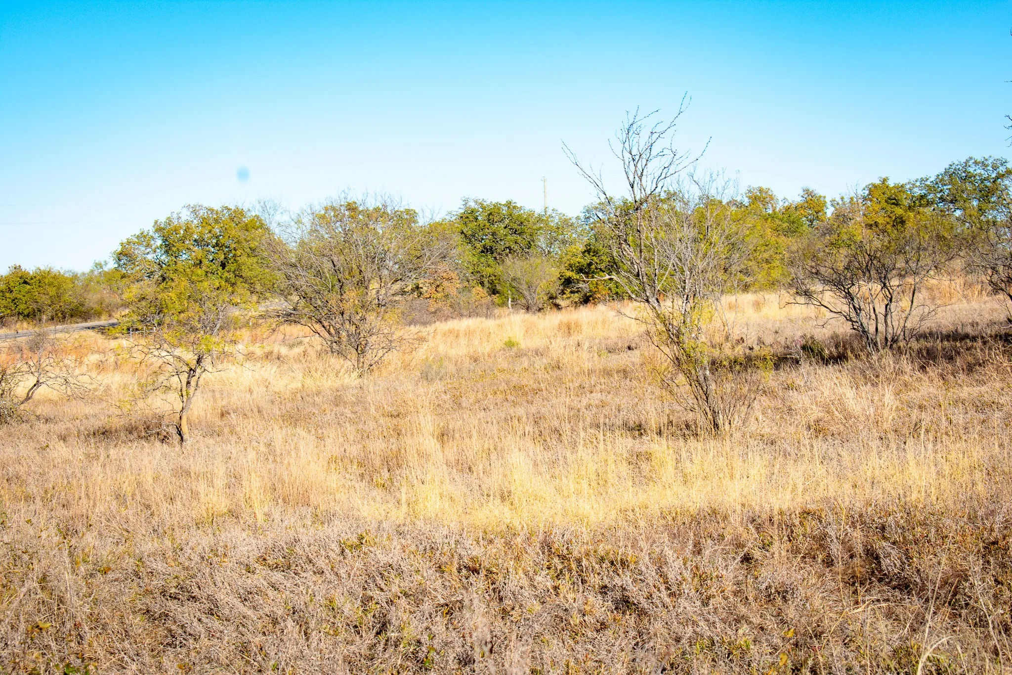Unimproved Land For Sale in San Saba County , 3400 FM 45, San Saba, Texas 76877, 0, 0, Garage spaces, 0 Sqft, built in 0, Price $360,000, mls#21325079, Real Estate Agent in San Saba, Homes For Sale in San Saba county, Homes For Sale in San Saba, Realtor in San Saba Texas, Real Estate Brokerage Independent Realty Texas, Luminita Cordes Realtor