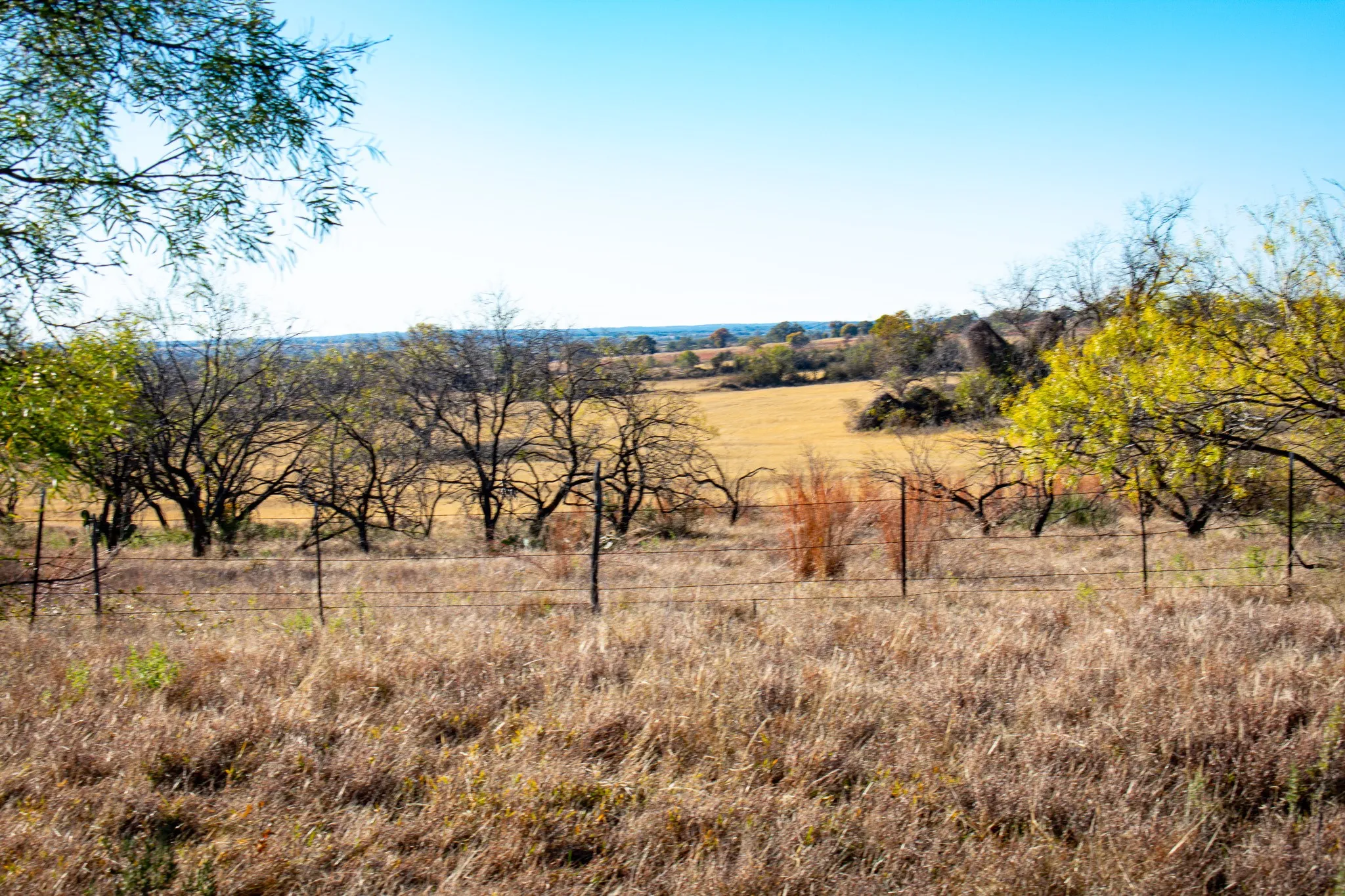 Unimproved Land For Sale in San Saba County , 3400 FM 45, San Saba, Texas 76877, 0, 0, Garage spaces, 0 Sqft, built in 0, Price $360,000, mls#21325079, Real Estate Agent in San Saba, Homes For Sale in San Saba county, Homes For Sale in San Saba, Realtor in San Saba Texas, Real Estate Brokerage Independent Realty Texas, Luminita Cordes Realtor
